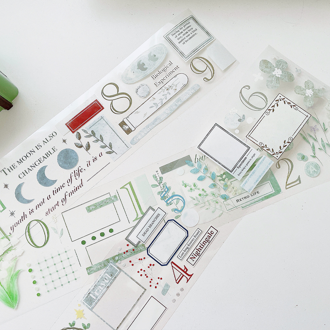 Embellishment Frame PET Tape (5cm*100cm)