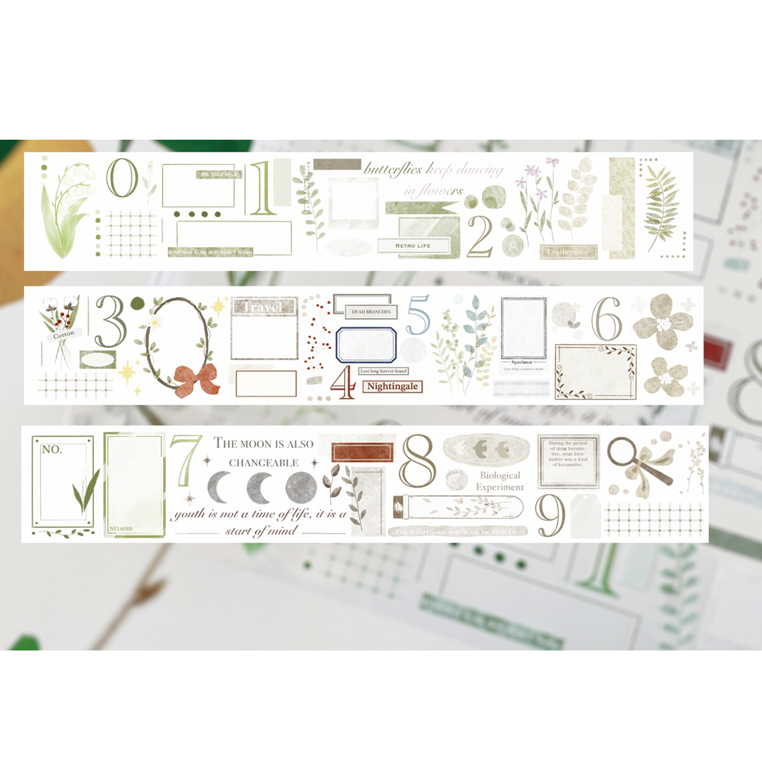 Embellishment Frame PET Tape (5cm*100cm)