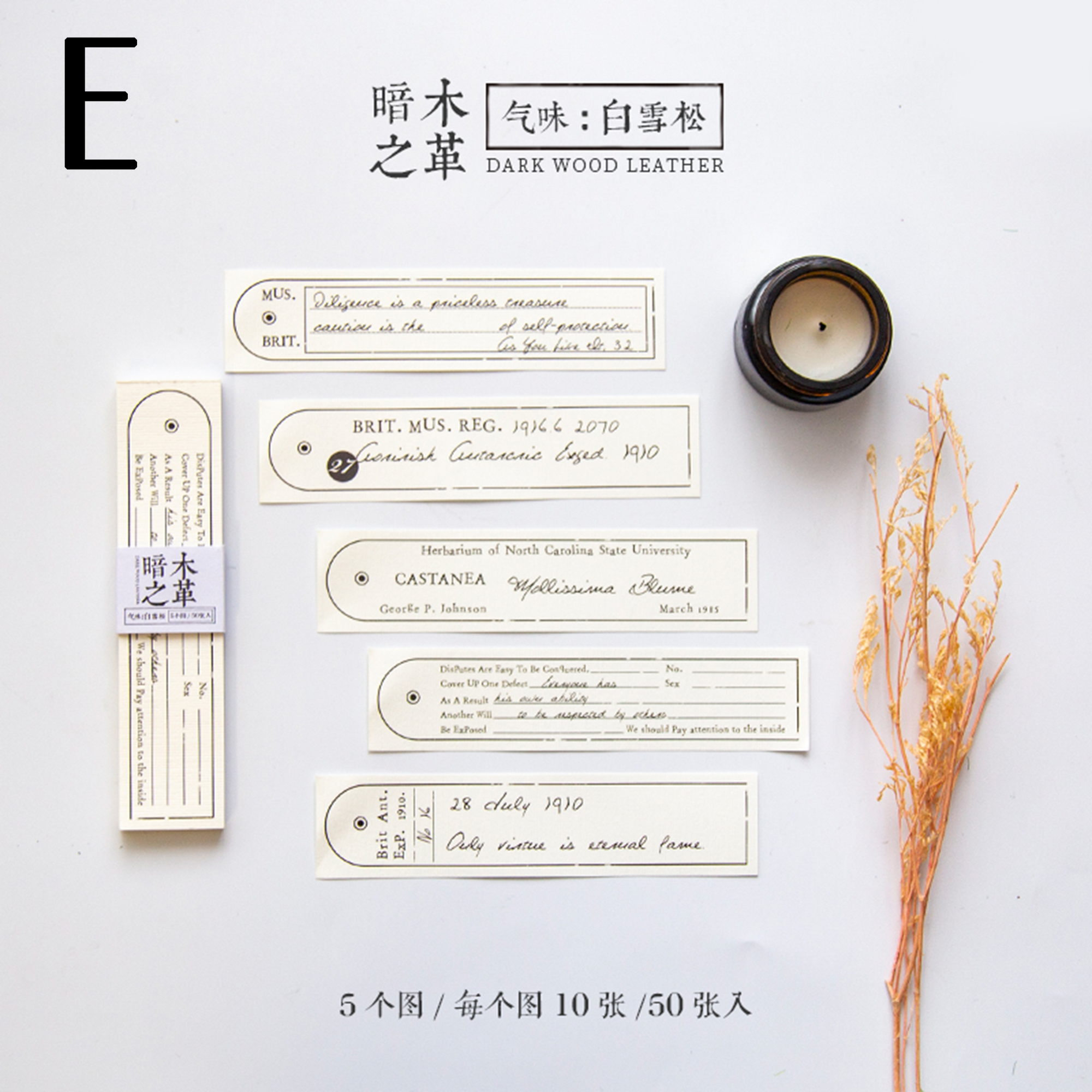 Memory Poet Memo Papers