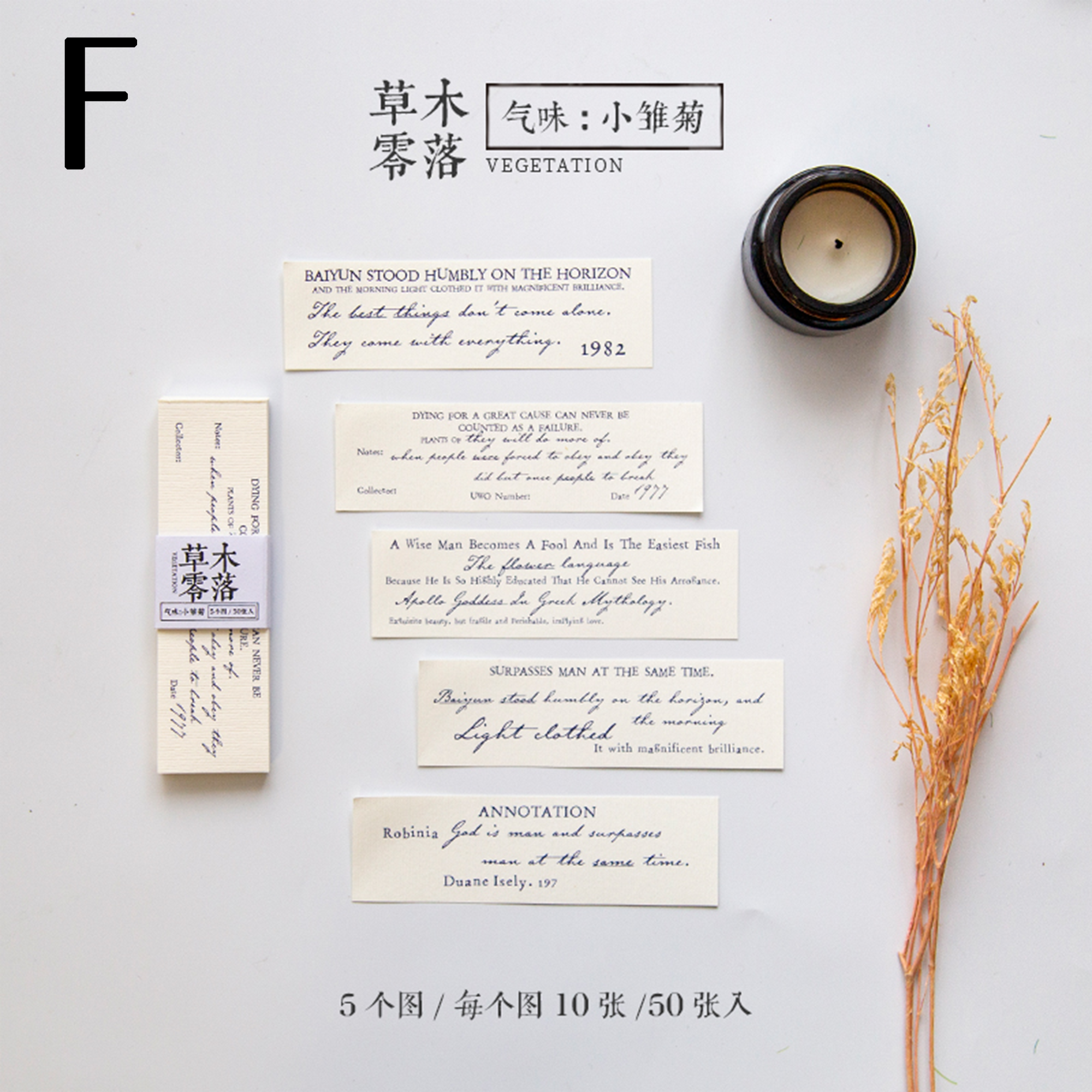 Memory Poet Memo Papers