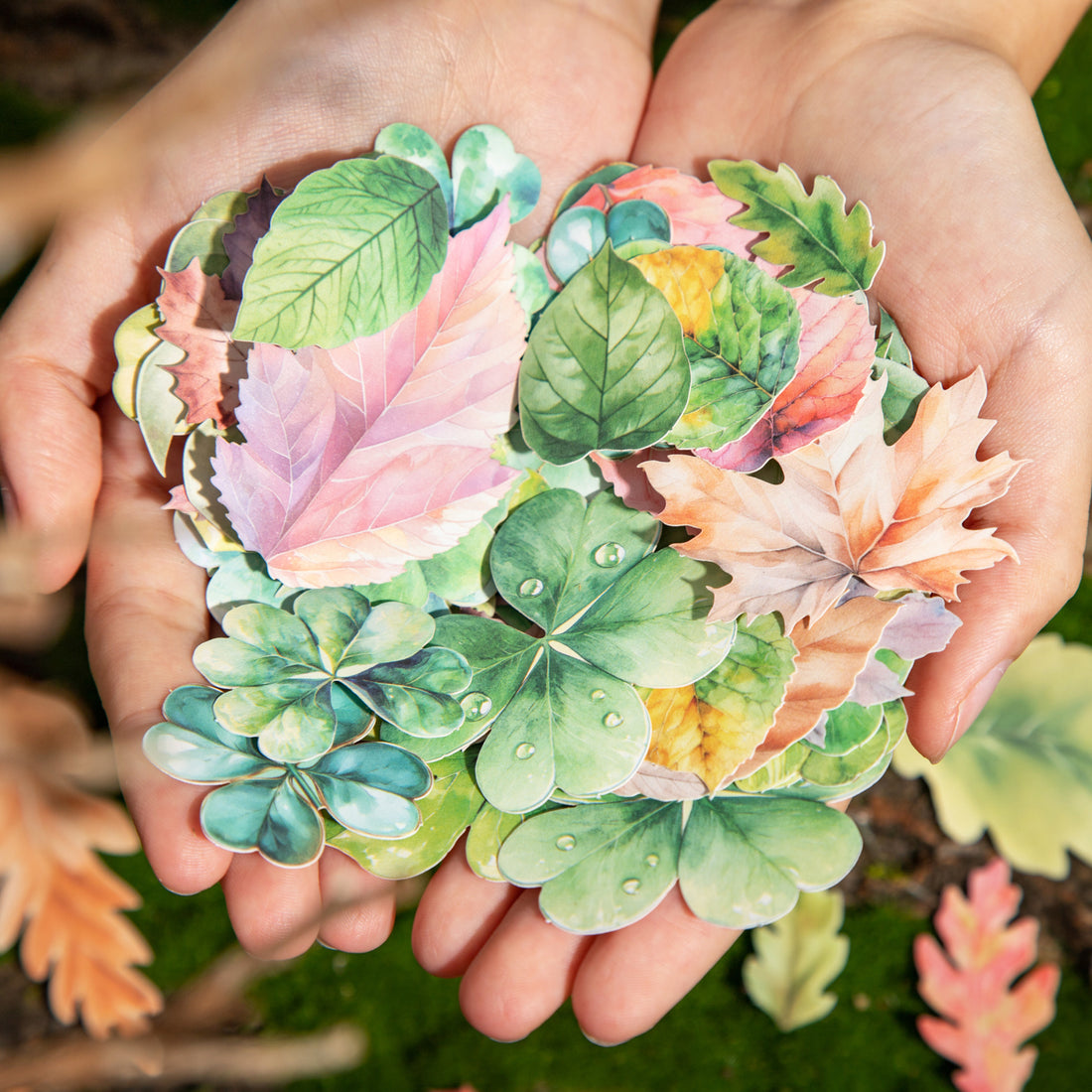 A leaf Paper Sticker