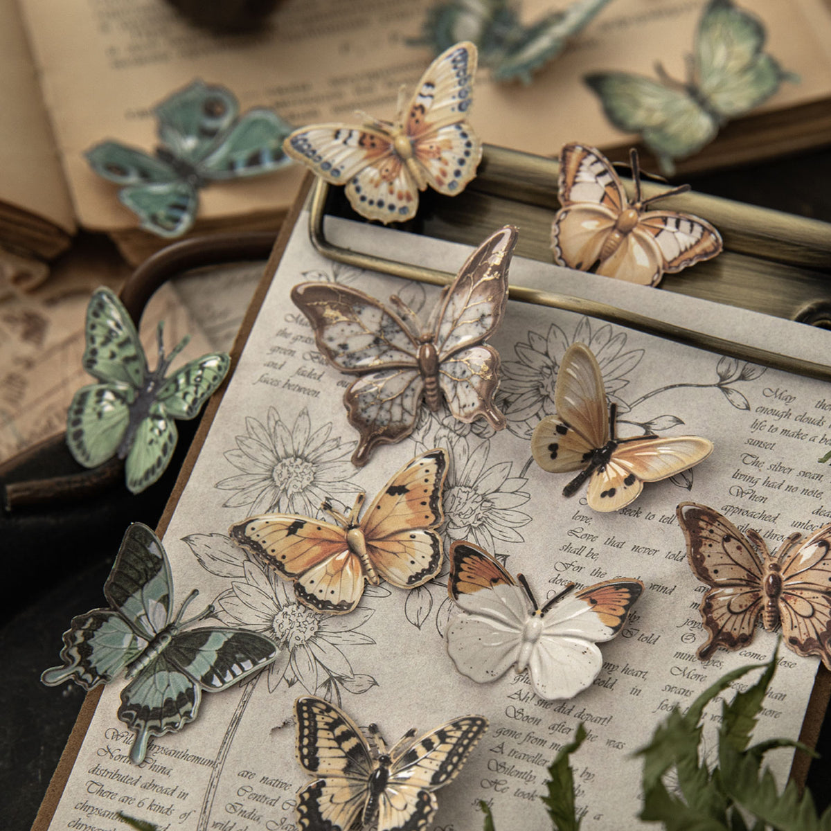Butterfly Ceramics Museum Paper Sticker