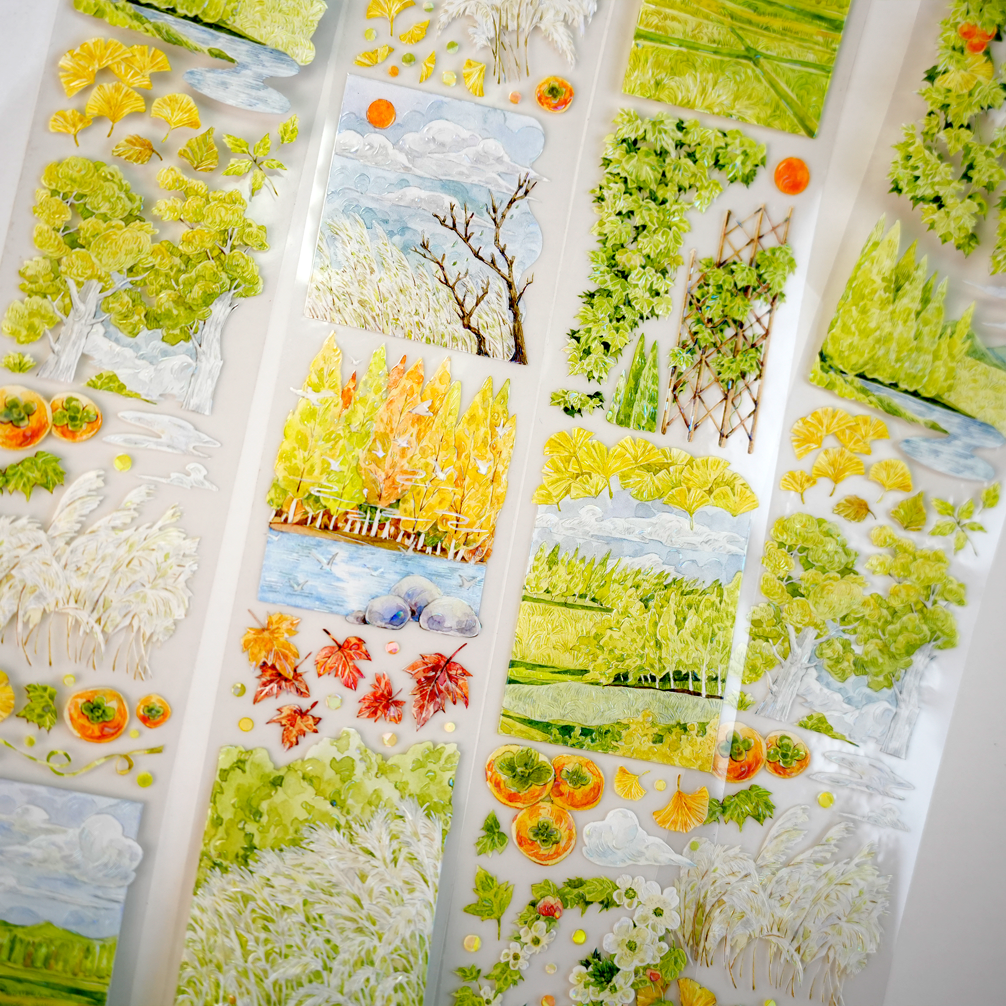 MIAOPAJI Studio Landscaping Tape (3 Style)