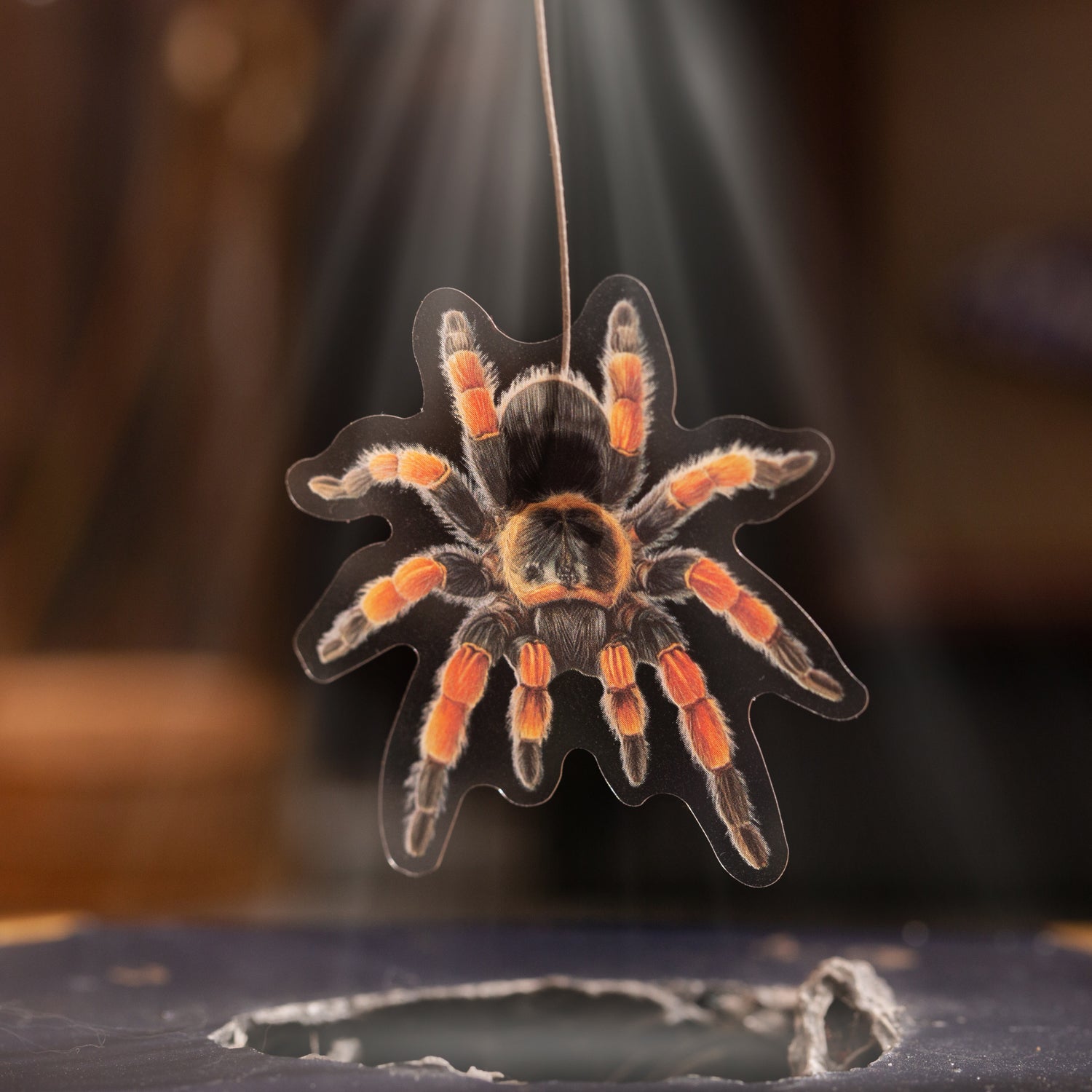 Insect Specimen Guidebook PET Sticker