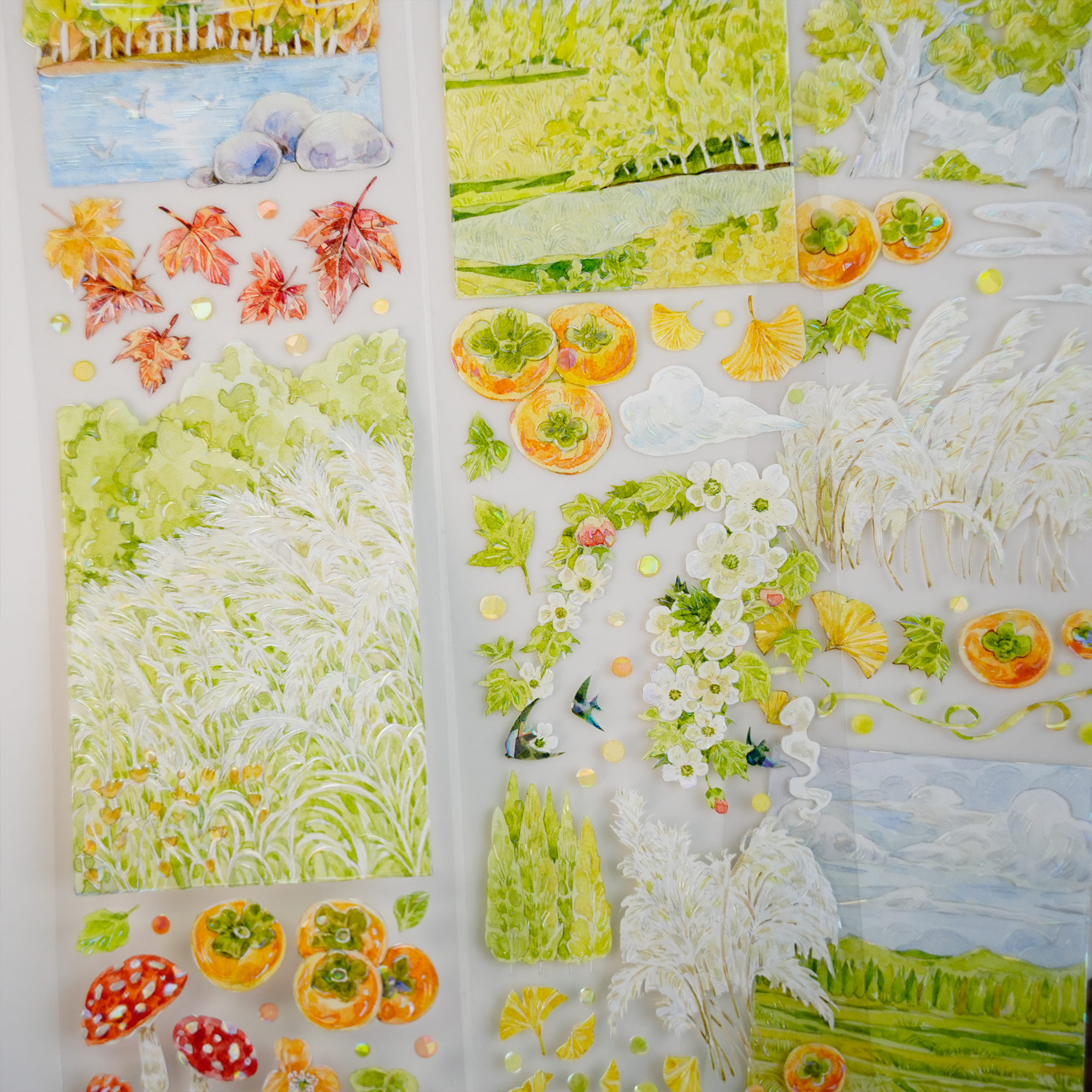 MIAOPAJI Studio Landscaping Tape (3 Style)