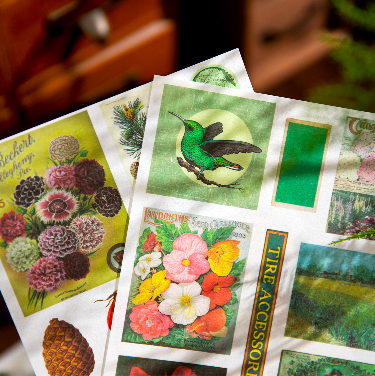 Long Song of Time Series Sticker Book For Scrapbooking and Journaling | MOOBOOM