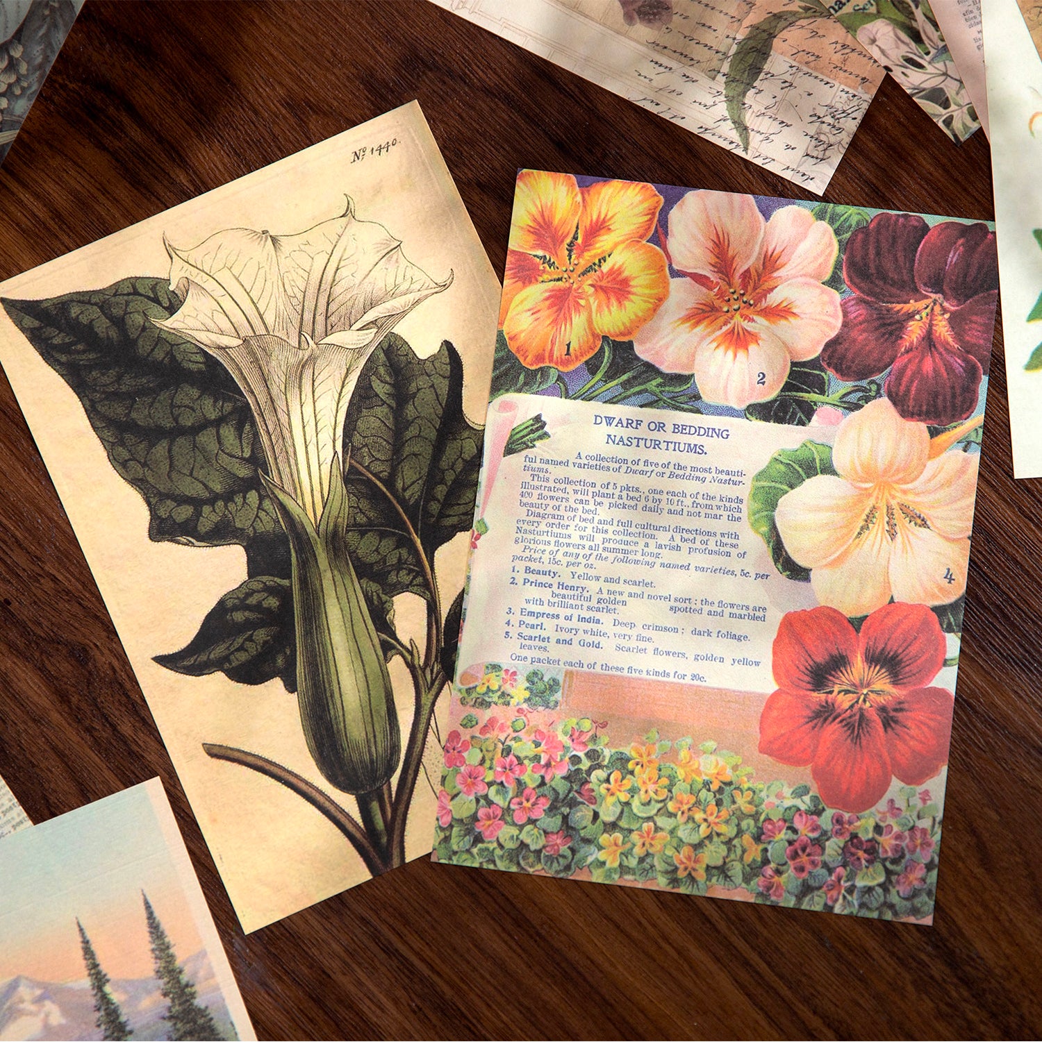 Long Song of Time Series Sticker Book For Scrapbooking and Journaling | MOOBOOM