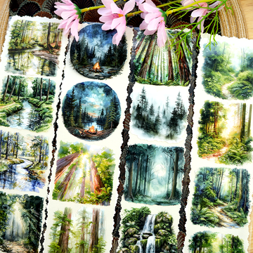 Four Seasons Forest PET Tape | No.24 | MOOBOOM Design