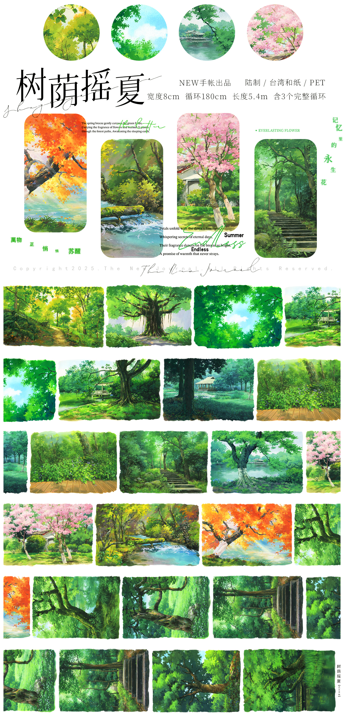 【NEW Studio】Secret Sanctum PET Tape (8cm x 180cm)