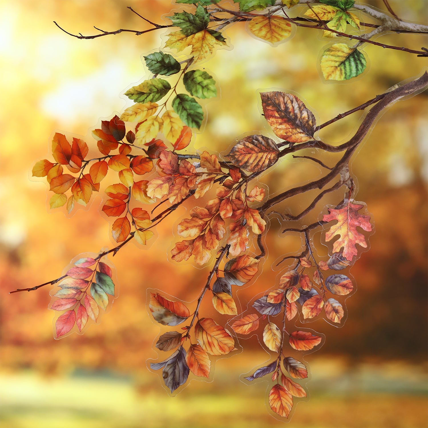 Lush series PET Sticker