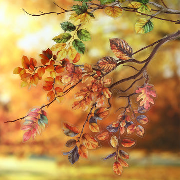 Lush series PET Sticker