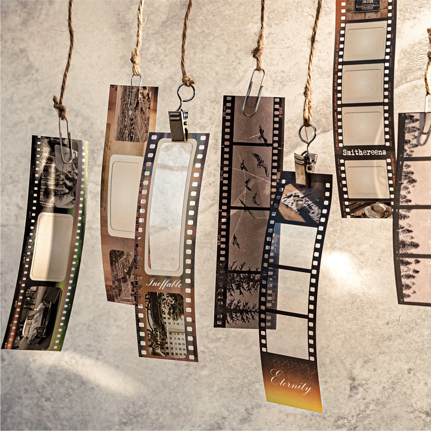 Film Notes PET Sticker