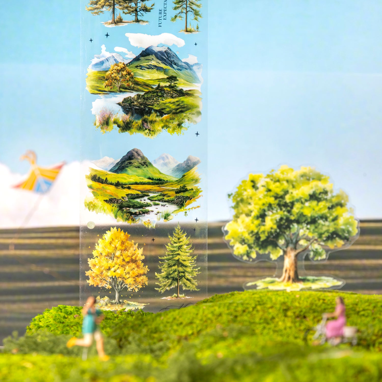 Scenery of a Tree PET Tape