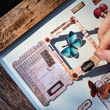 Specimen Box of Time Scrapbooking Paper