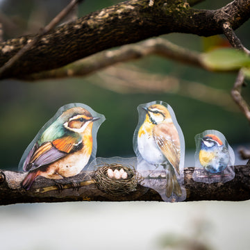 Birds Among the Clouds Pre-cut PET Tape