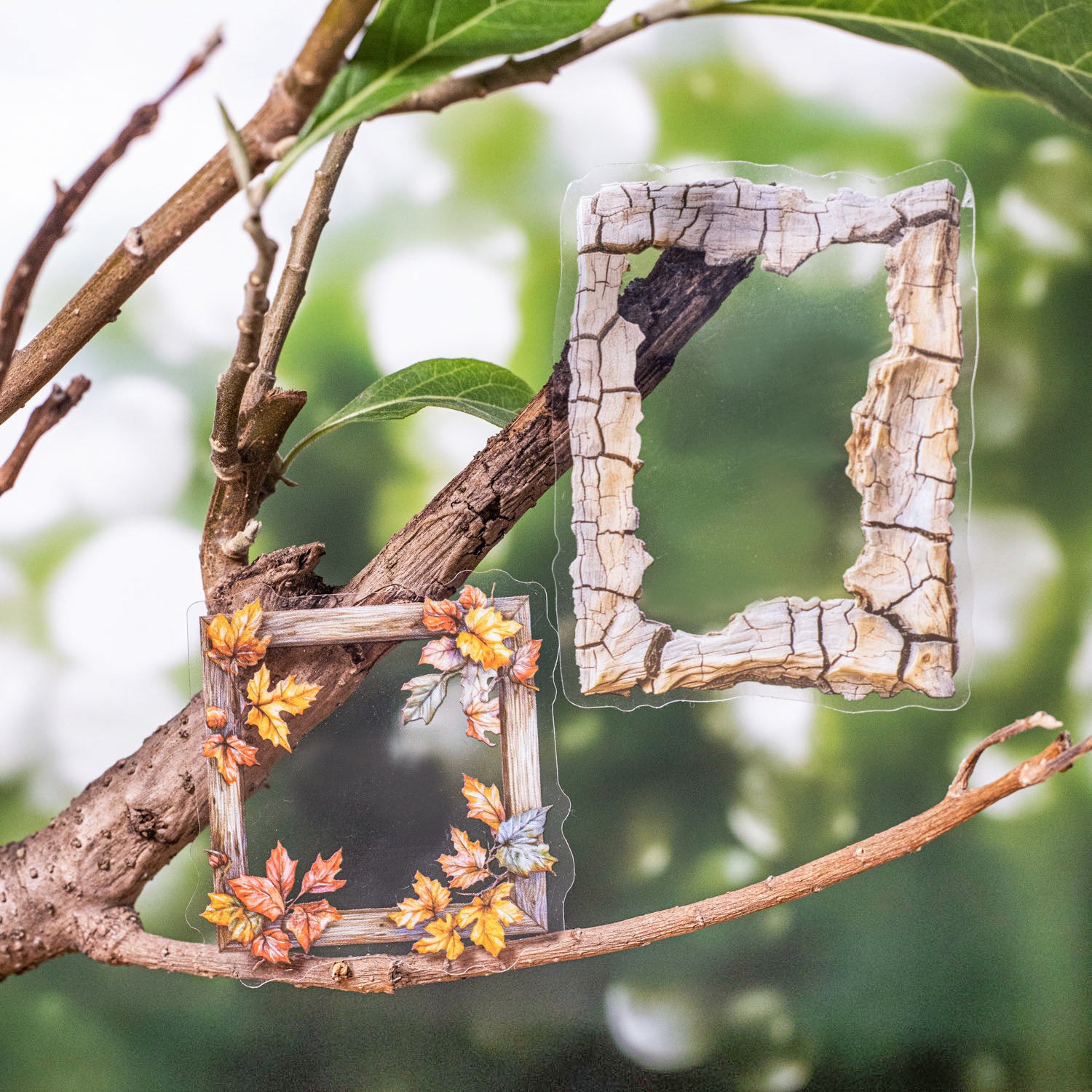 Forest Language Wooden Frame PET Sticker