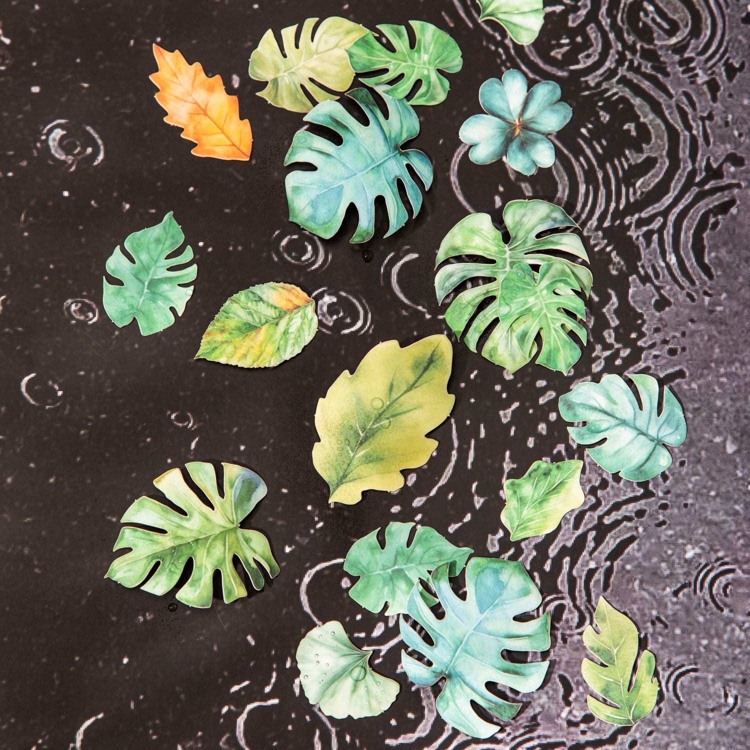 A leaf Paper Sticker