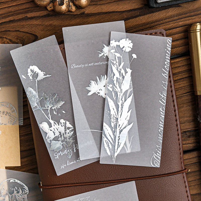 Fleeting Light Scrapbooking Paper