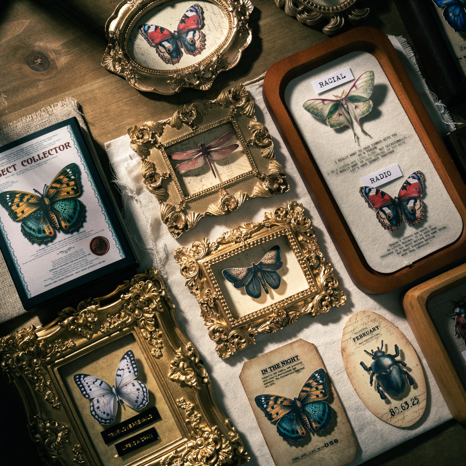 Insect Collector Sticker