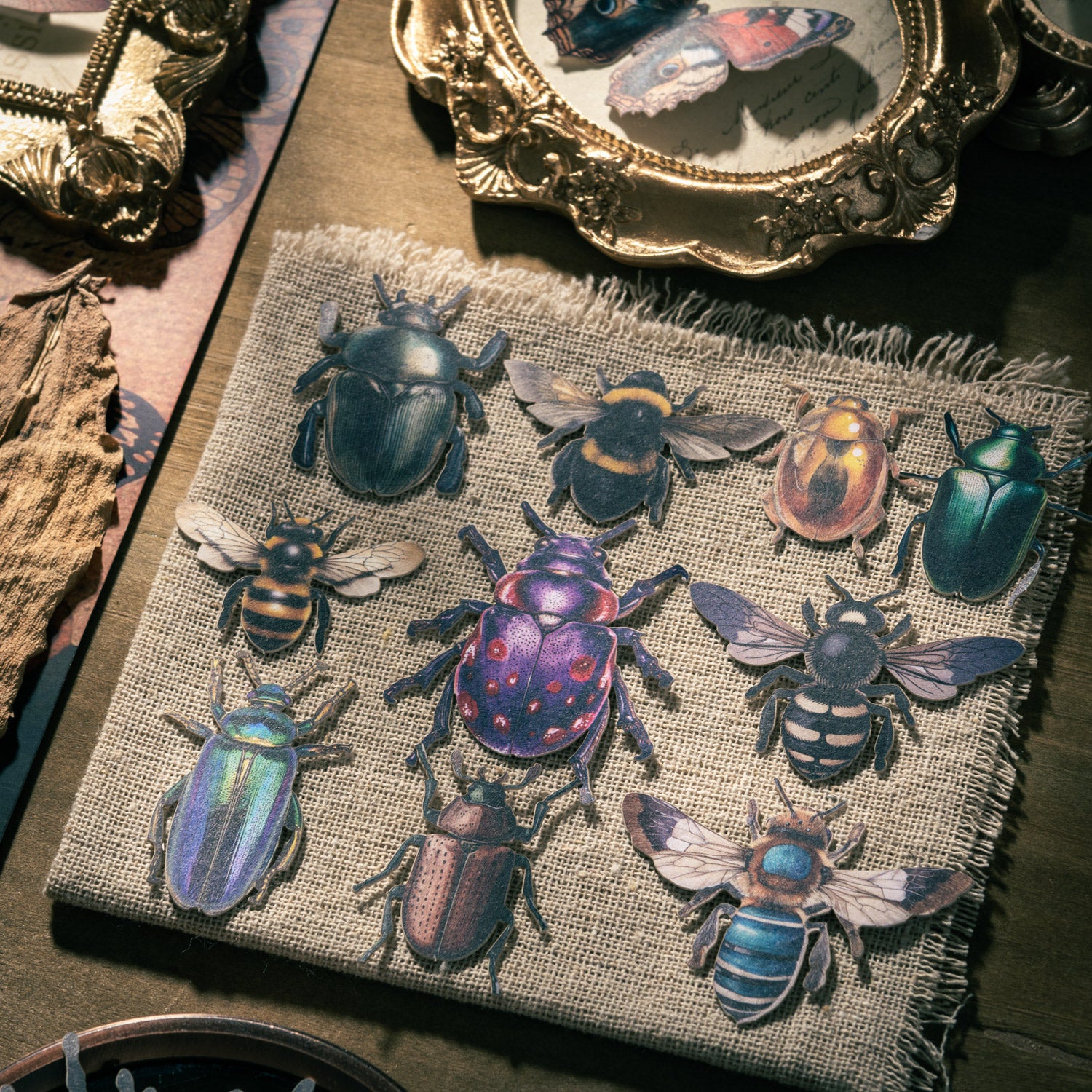 Insect Collector Sticker