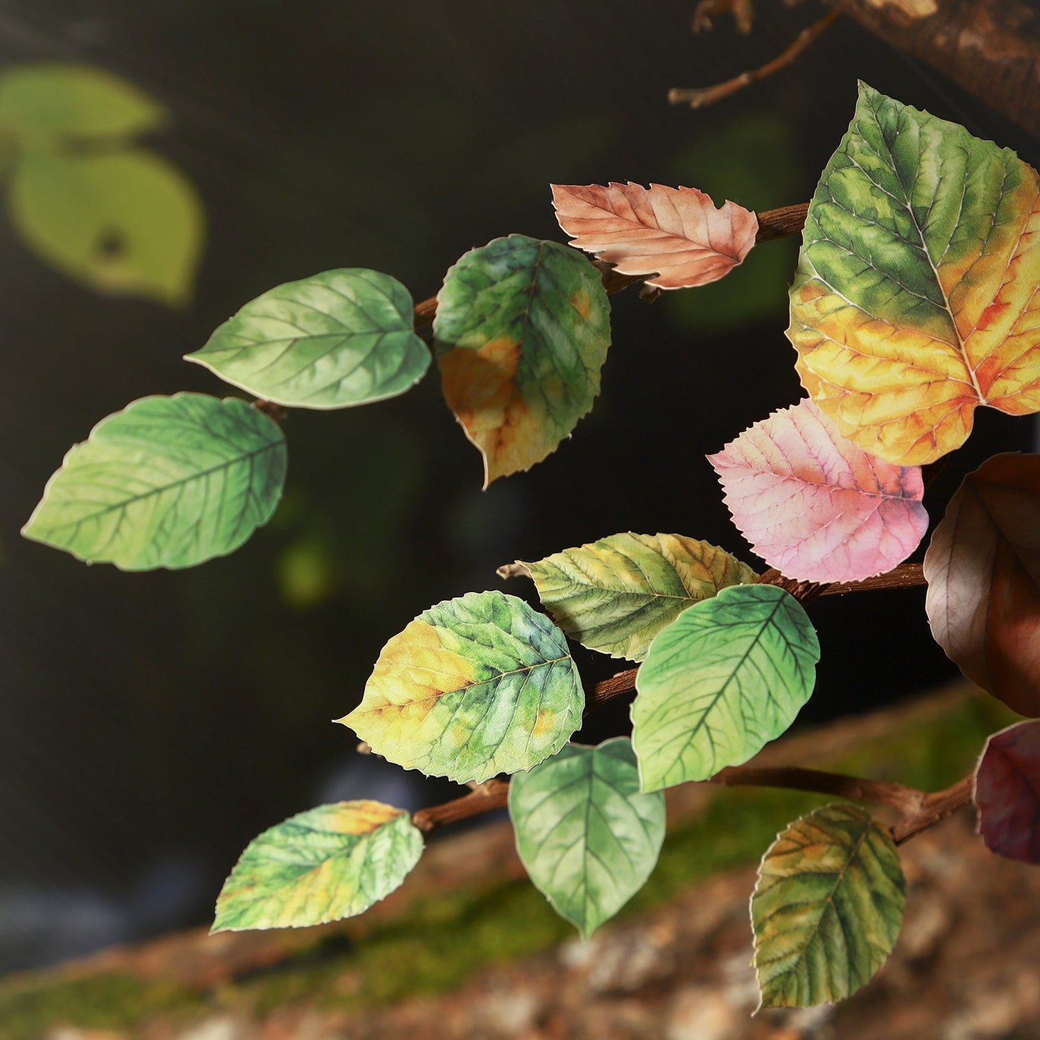 A leaf Paper Sticker