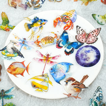 Colorful World PET Sticker