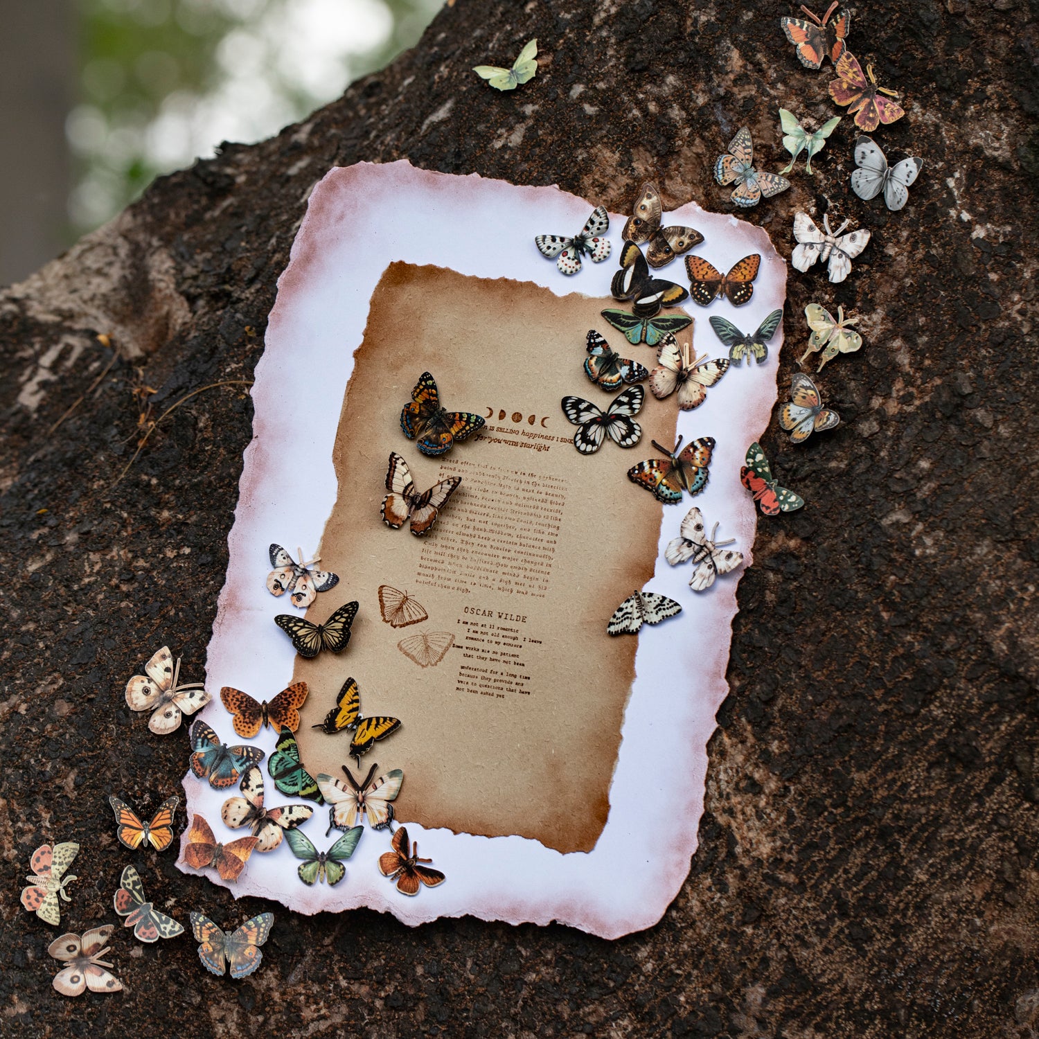 Vintage Butterfly Paper Sticker