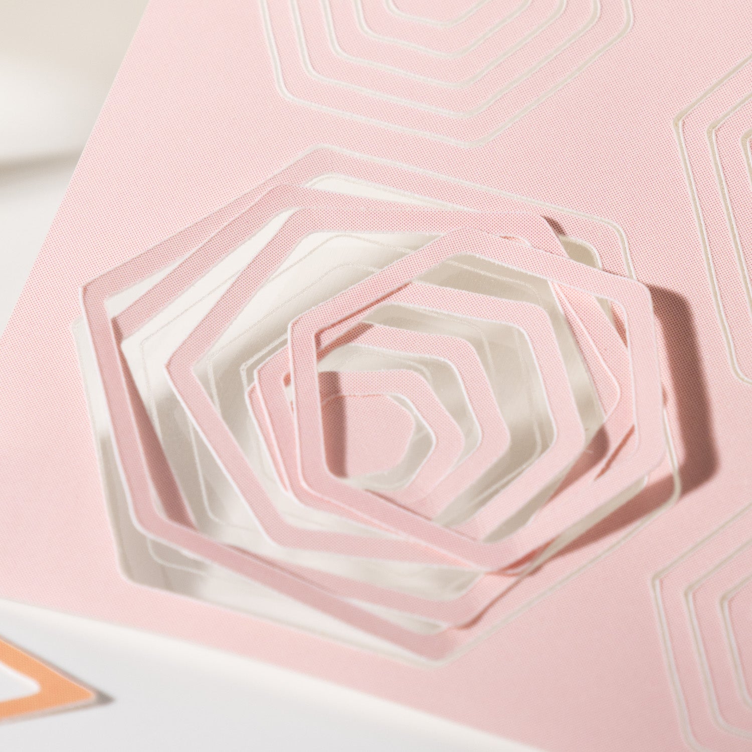 The Colors of Baudoin Border Lines Sticker