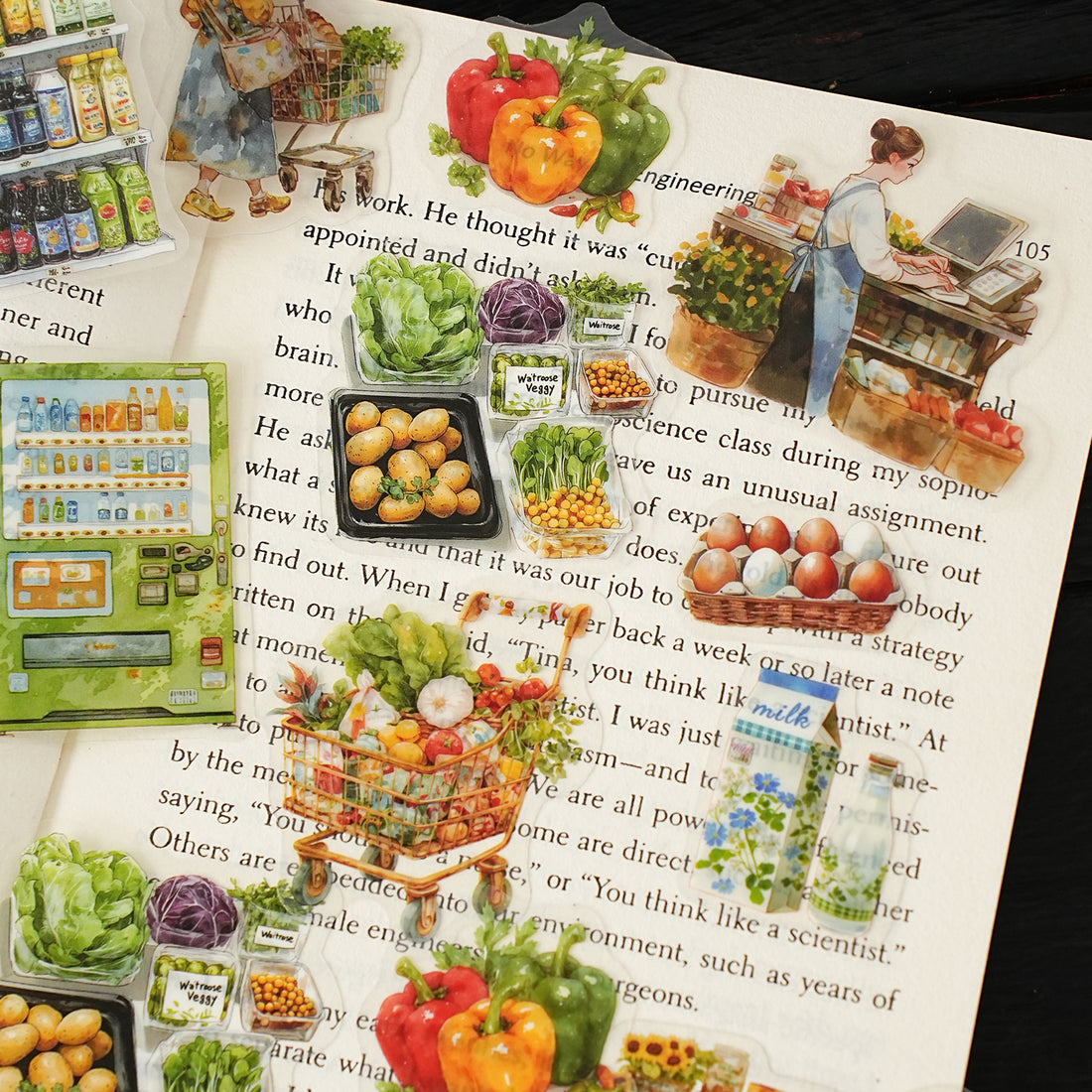 Life Observation Diary PET Sticker