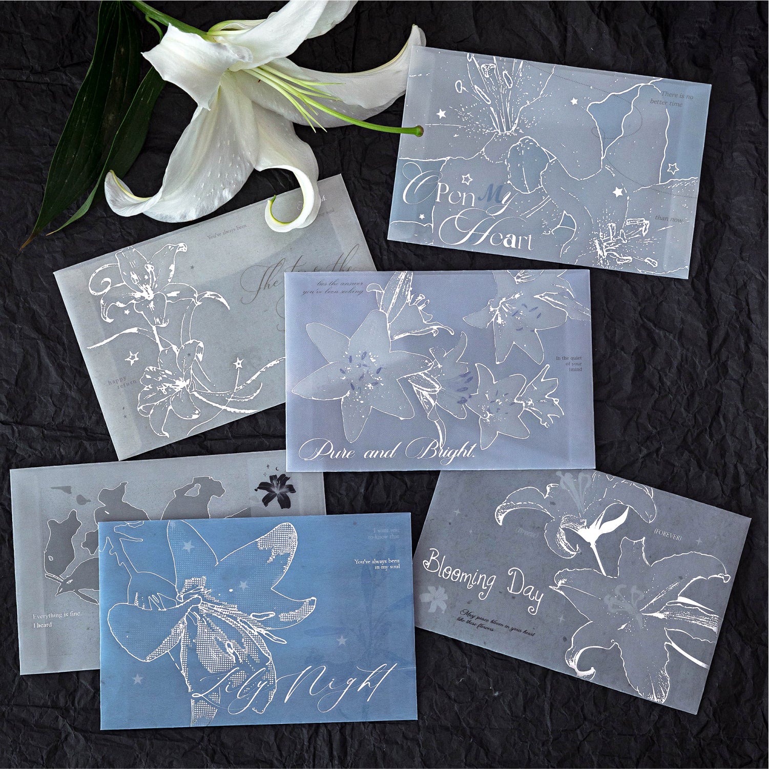 A Letter from the Lilies Vellum Envelope