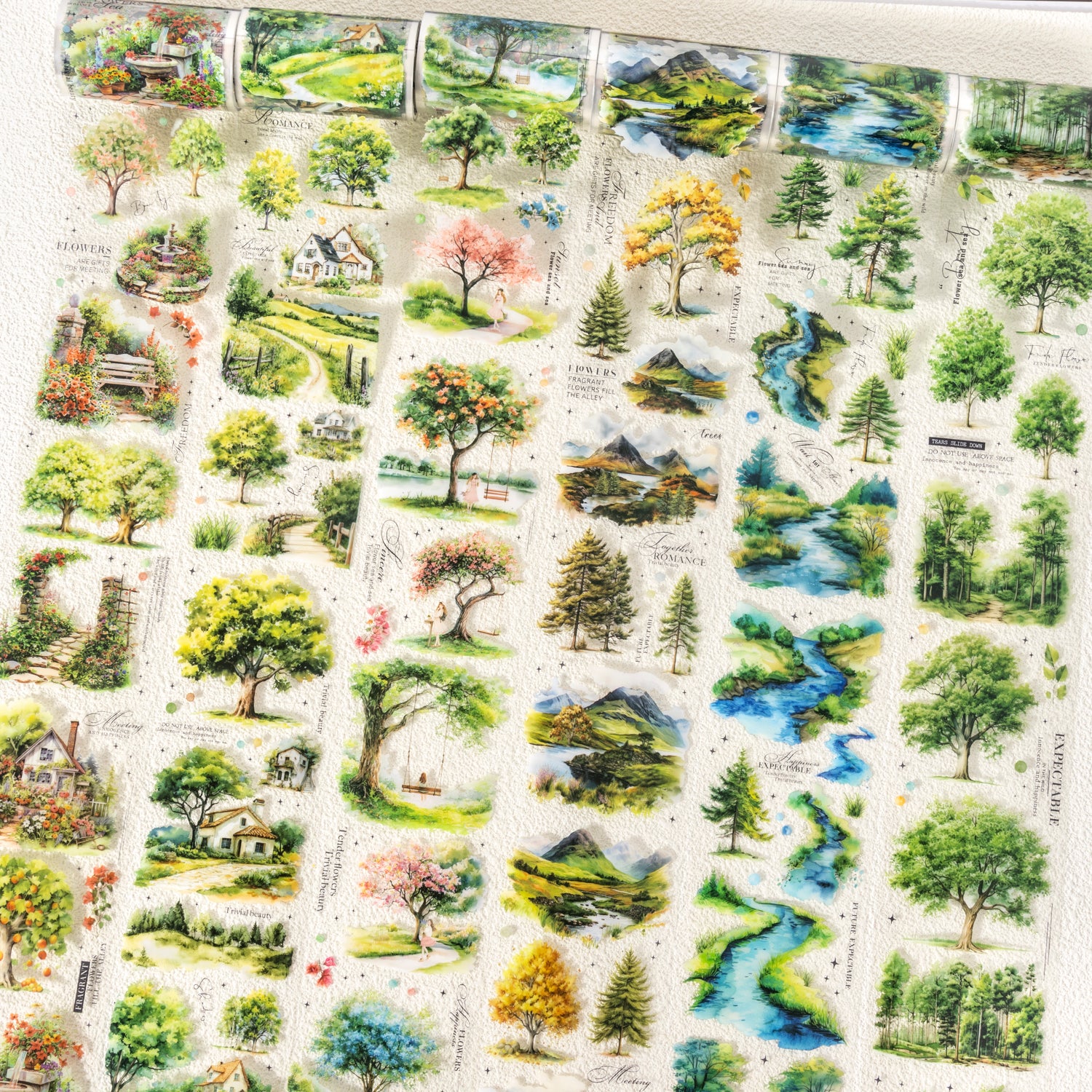 Scenery of a Tree PET Tape