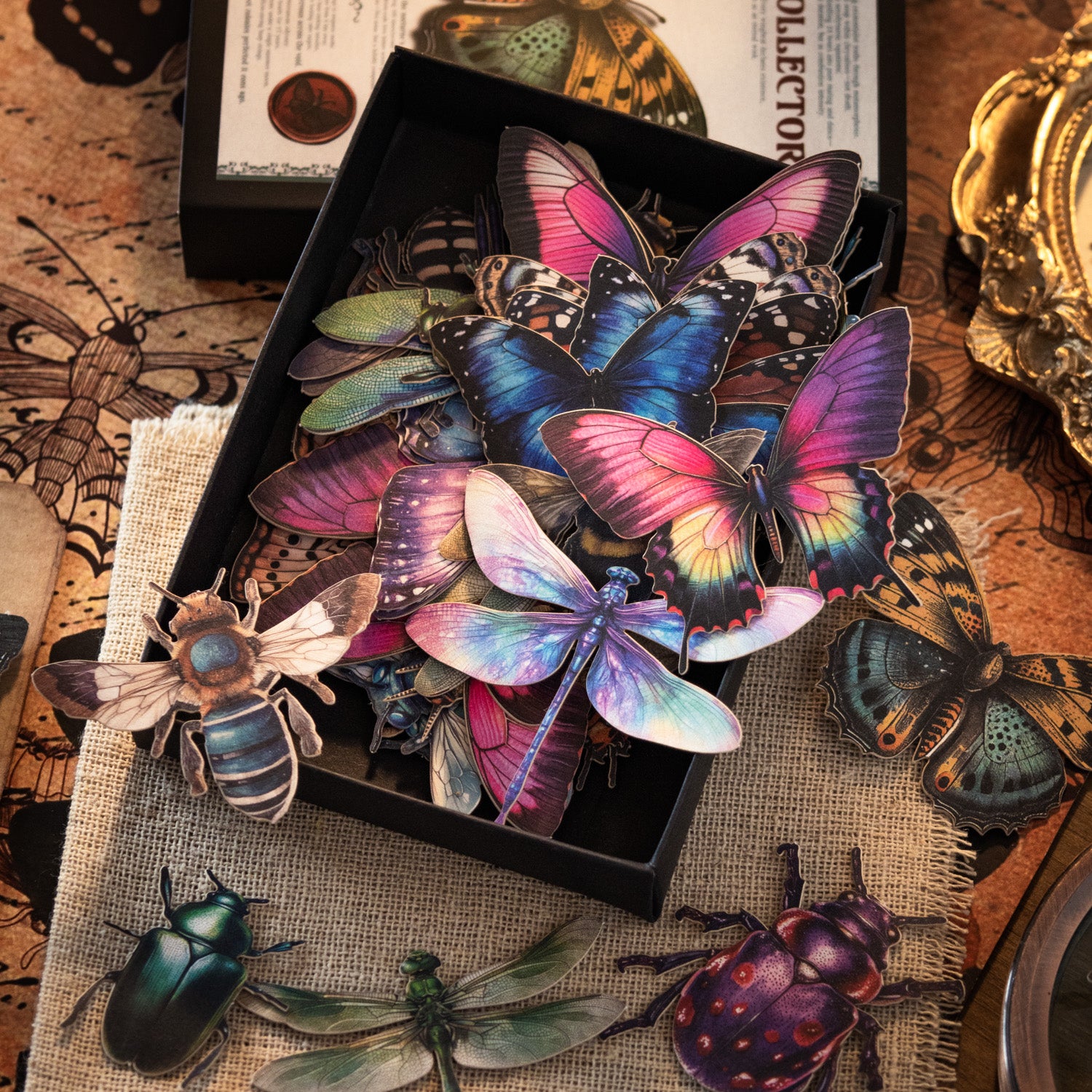 Insect Collector Sticker