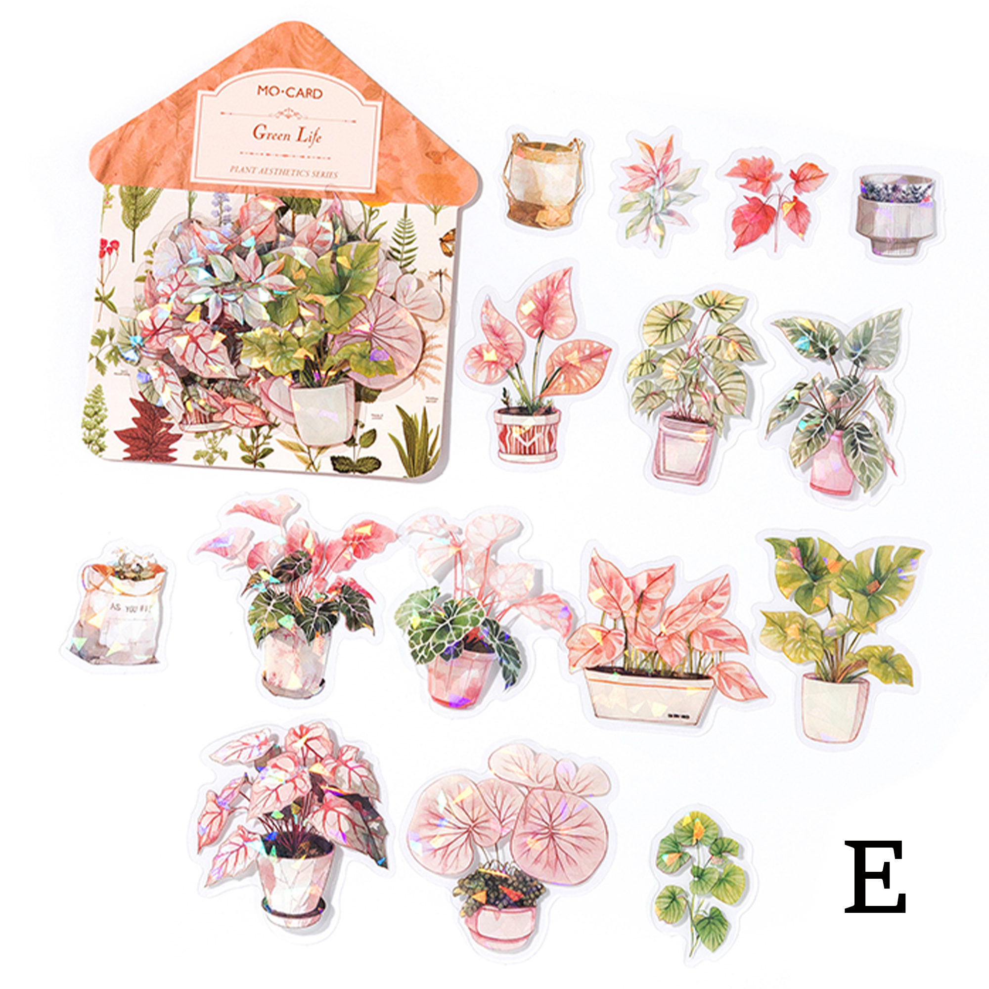 Botanical Aesthetic Flower PET Sticker