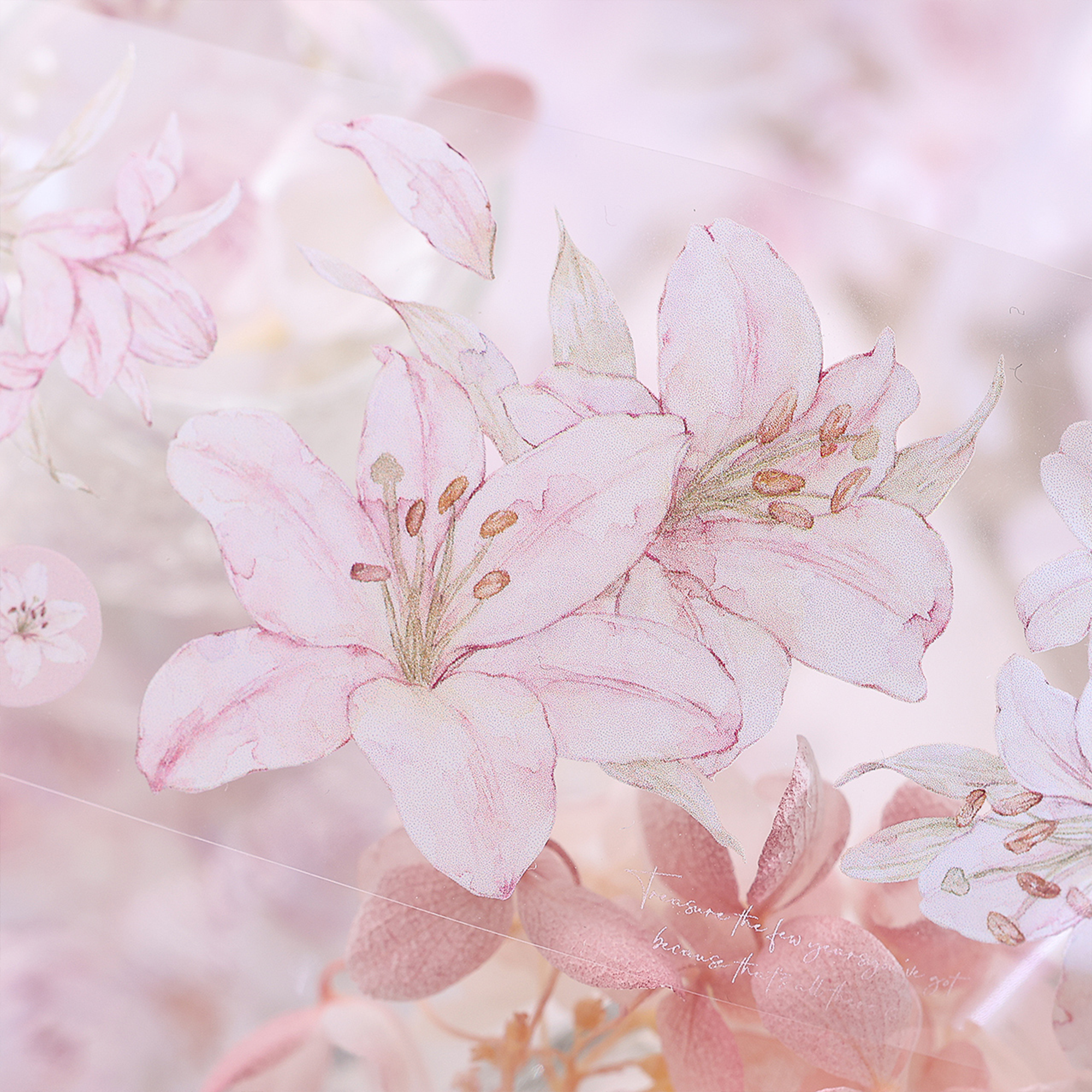 Pink Lily PET Tape (5.5cm*120cm)