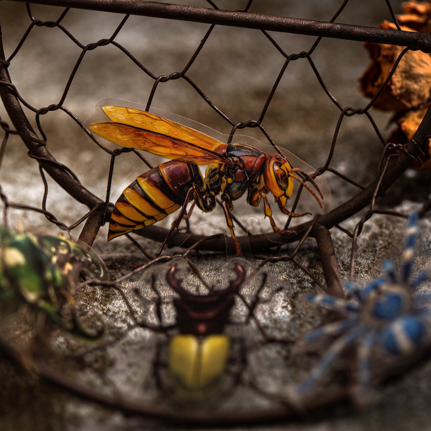 Insect Specimen Guidebook PET Sticker