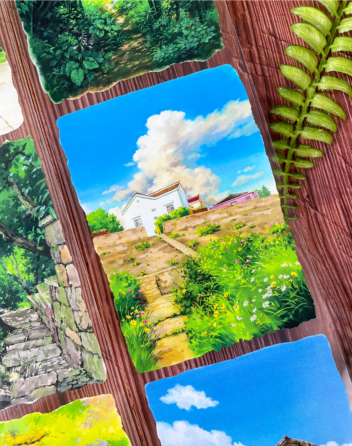 【NEW Studio】Shaded Path PET Tape (8cm x 170cm)