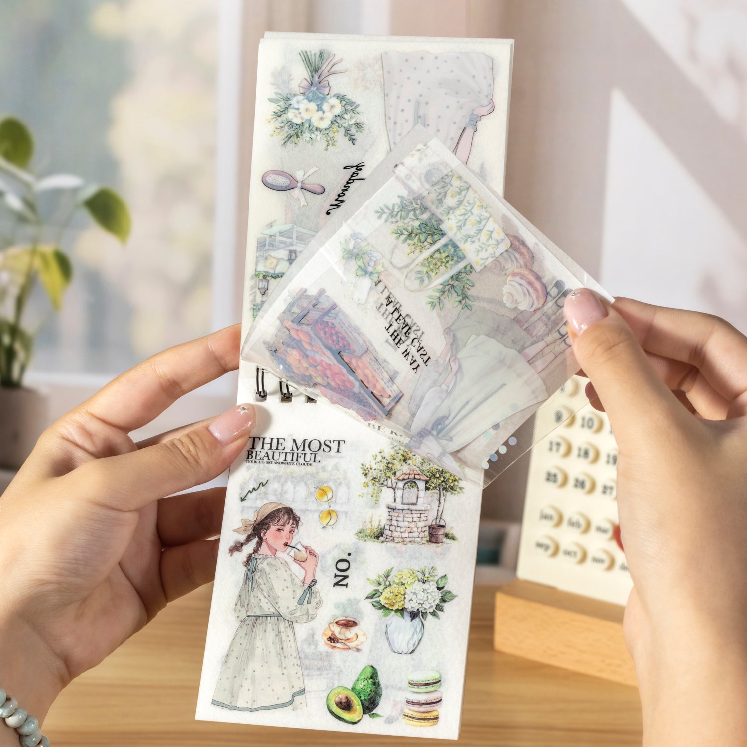 Changing Professional Sticker Books