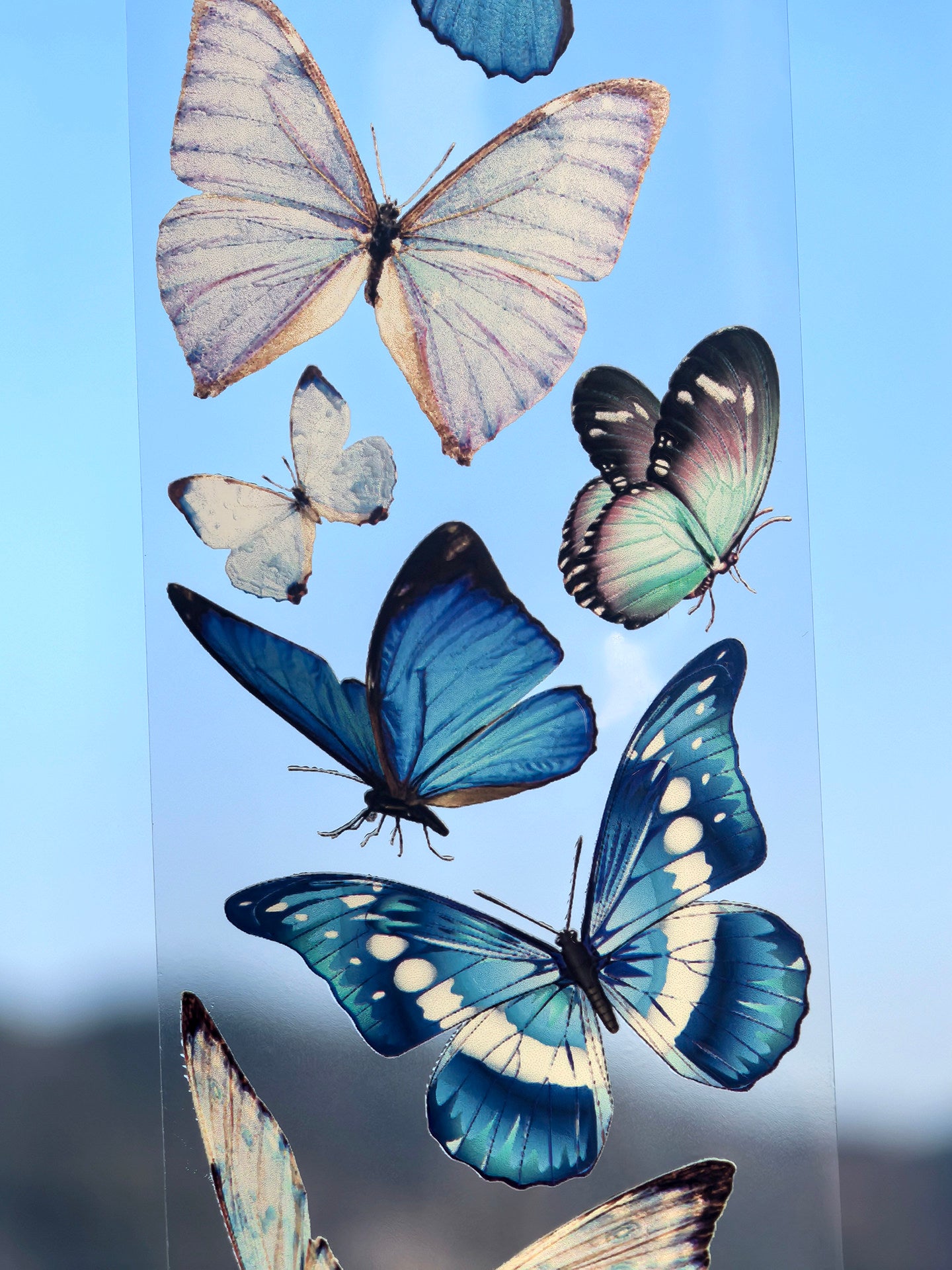 Blue Butterfly Tape