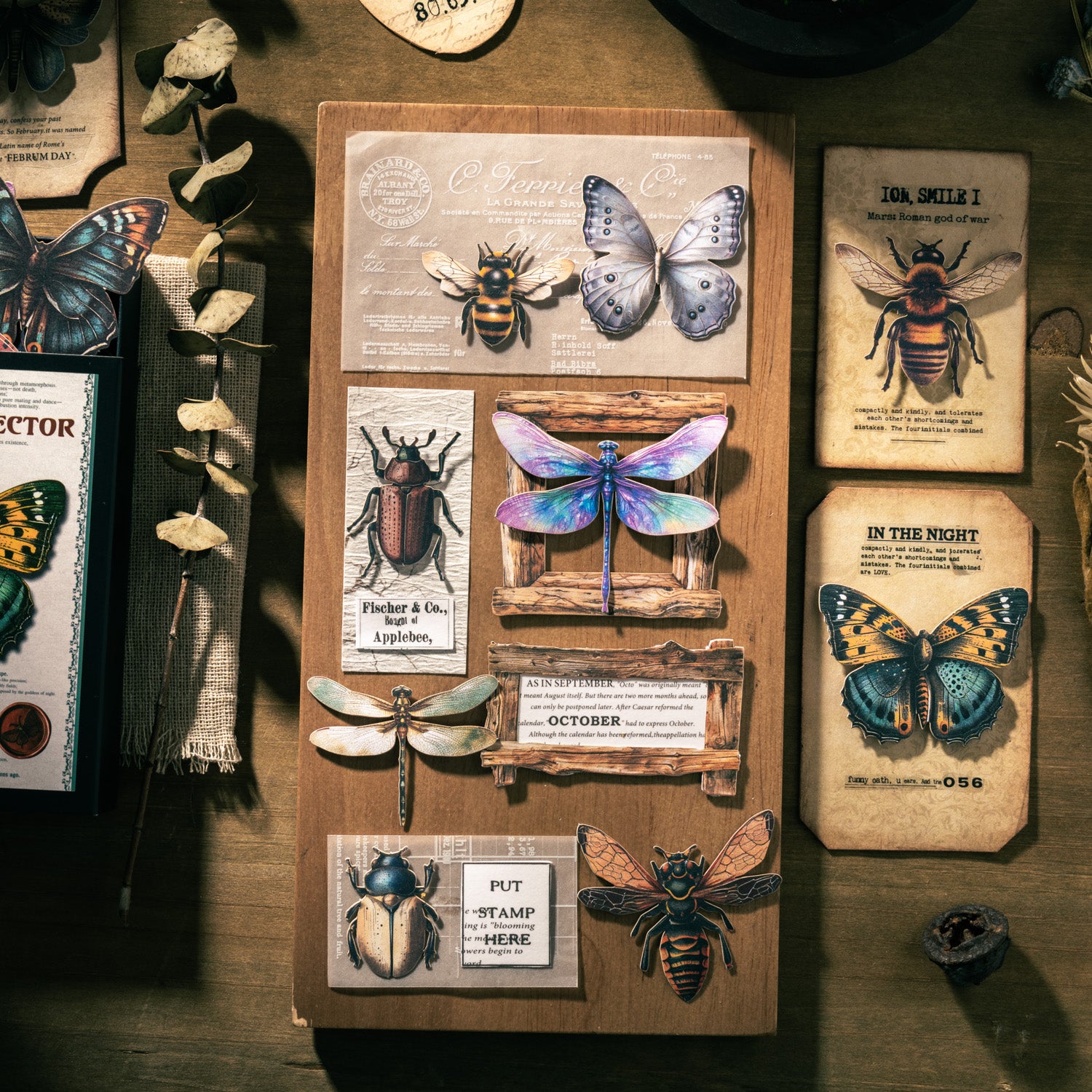 Insect Collector Sticker