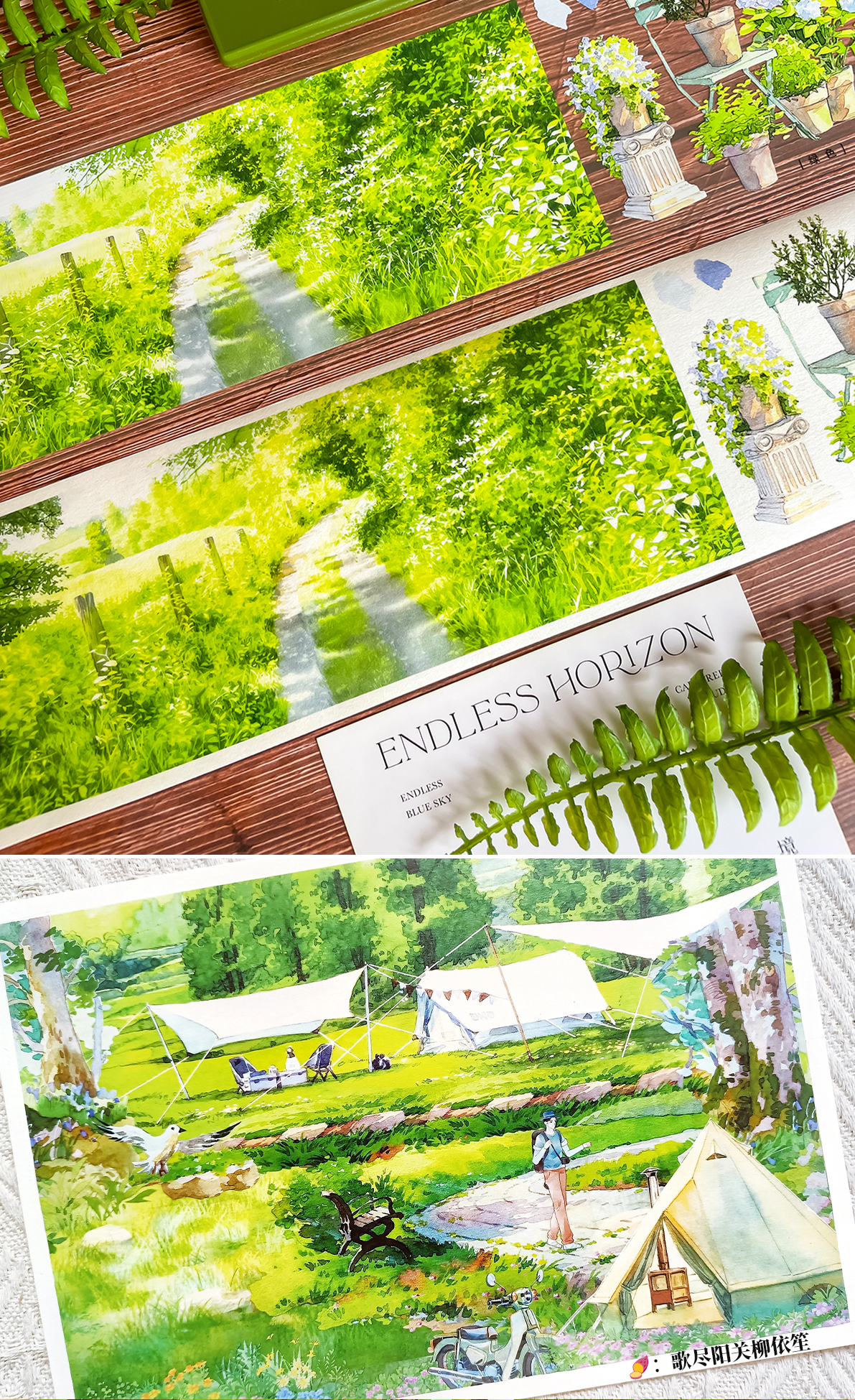 【NEW Studio】Forest Picnic PET Tape (7cm x 170cm)