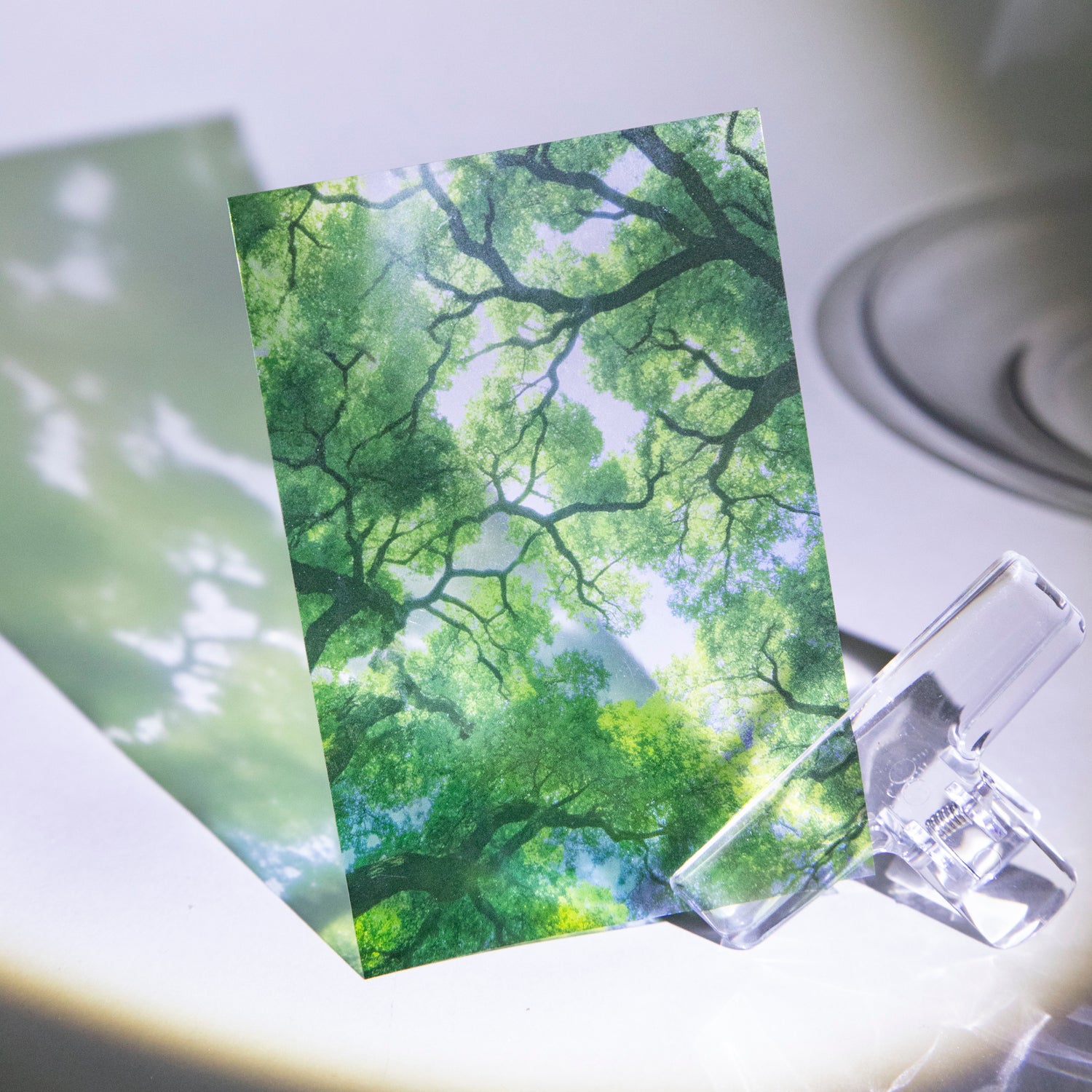 An Atmospheric Summer PET Sticker