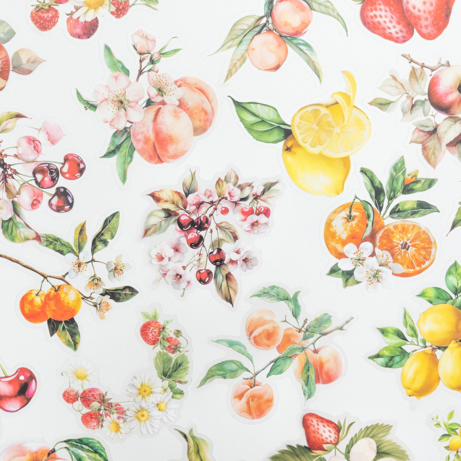 Fruity Garden Fruit Stickers