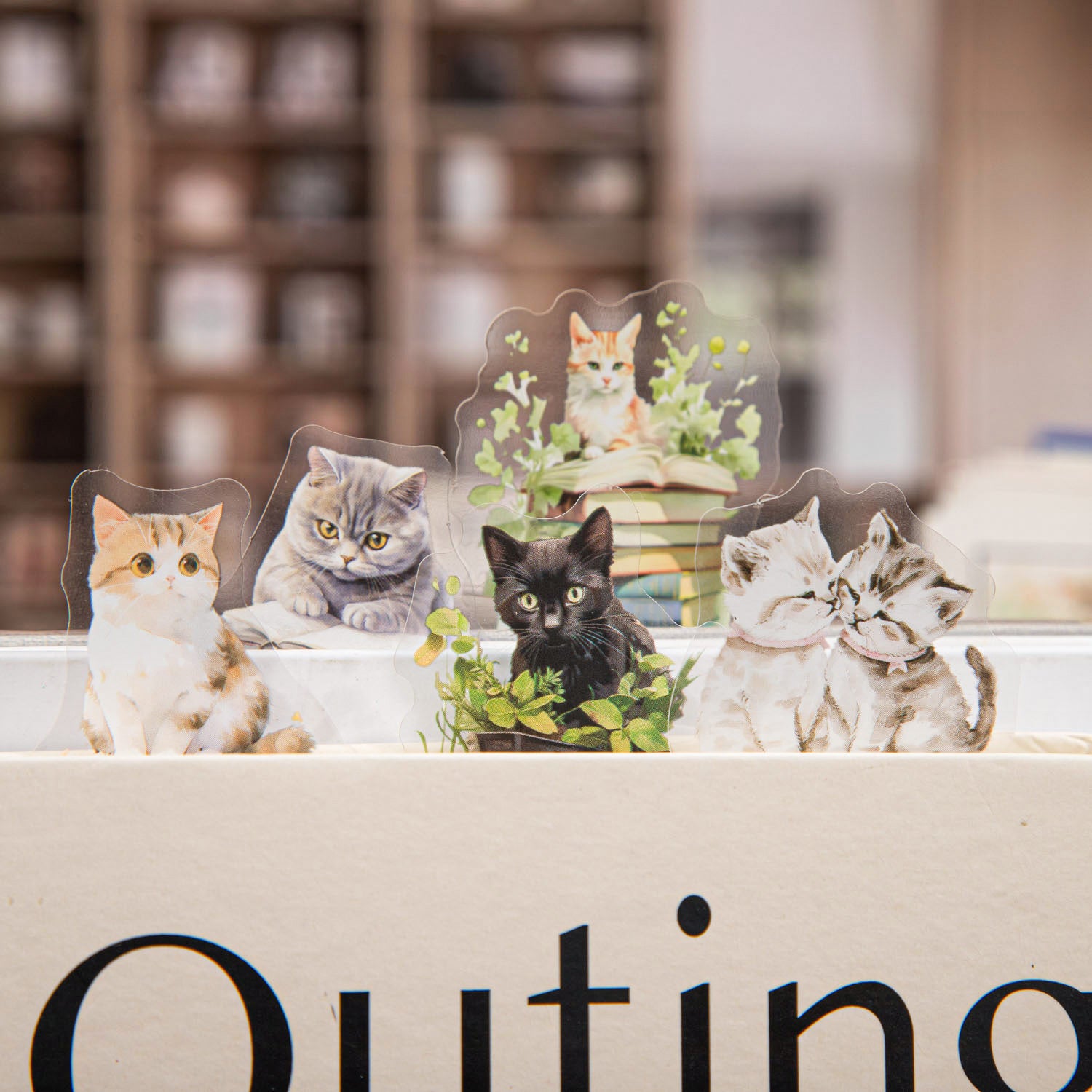 The Cat in The Bookstore PET Sticker