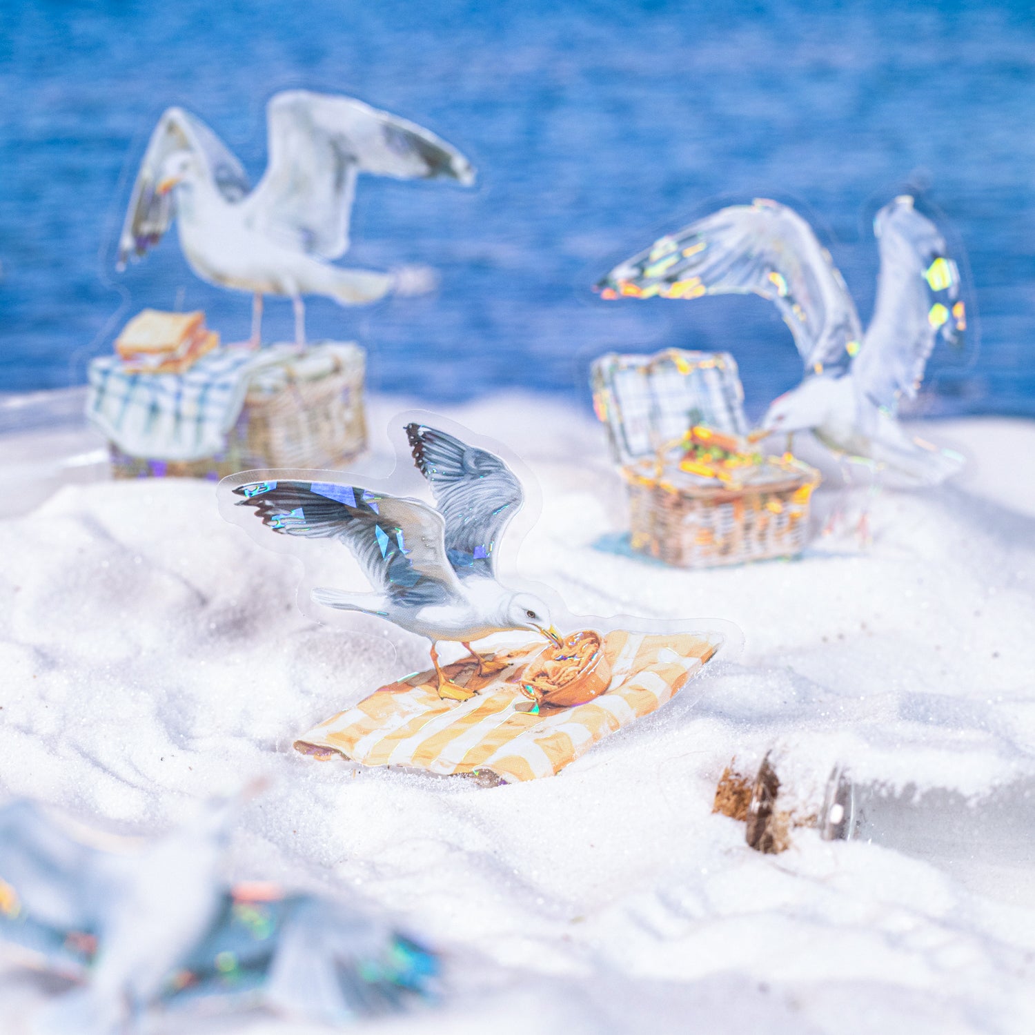 Let's See the Seagulls PET Sticker