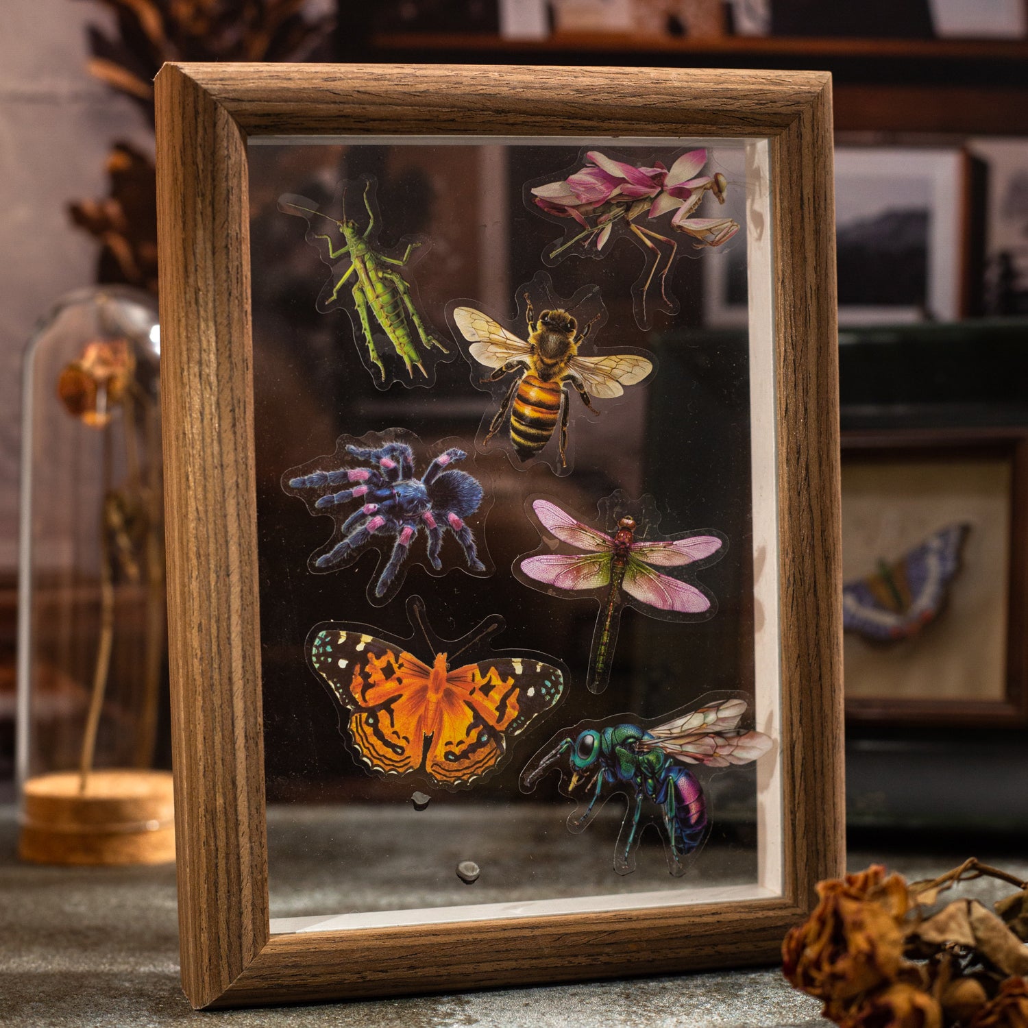 Insect Specimen Guidebook PET Sticker