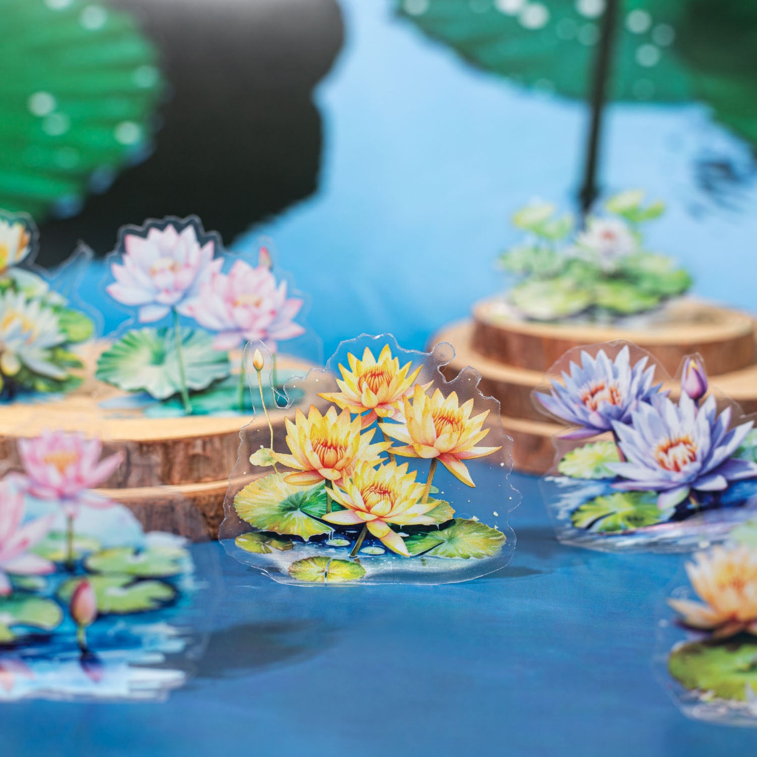 Summer Lotus Pond PET Tape