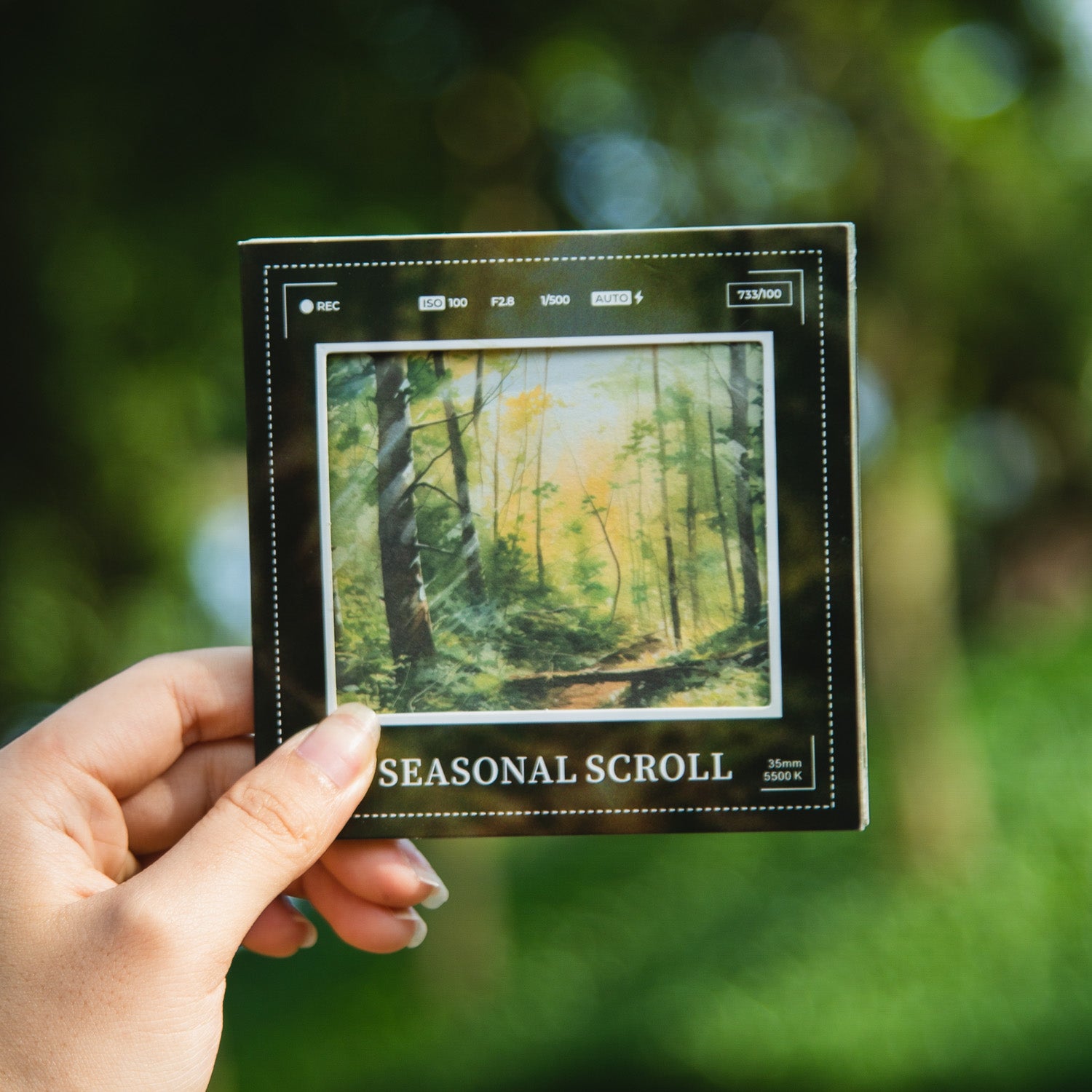 Season Scroll Scrapbooking Paper