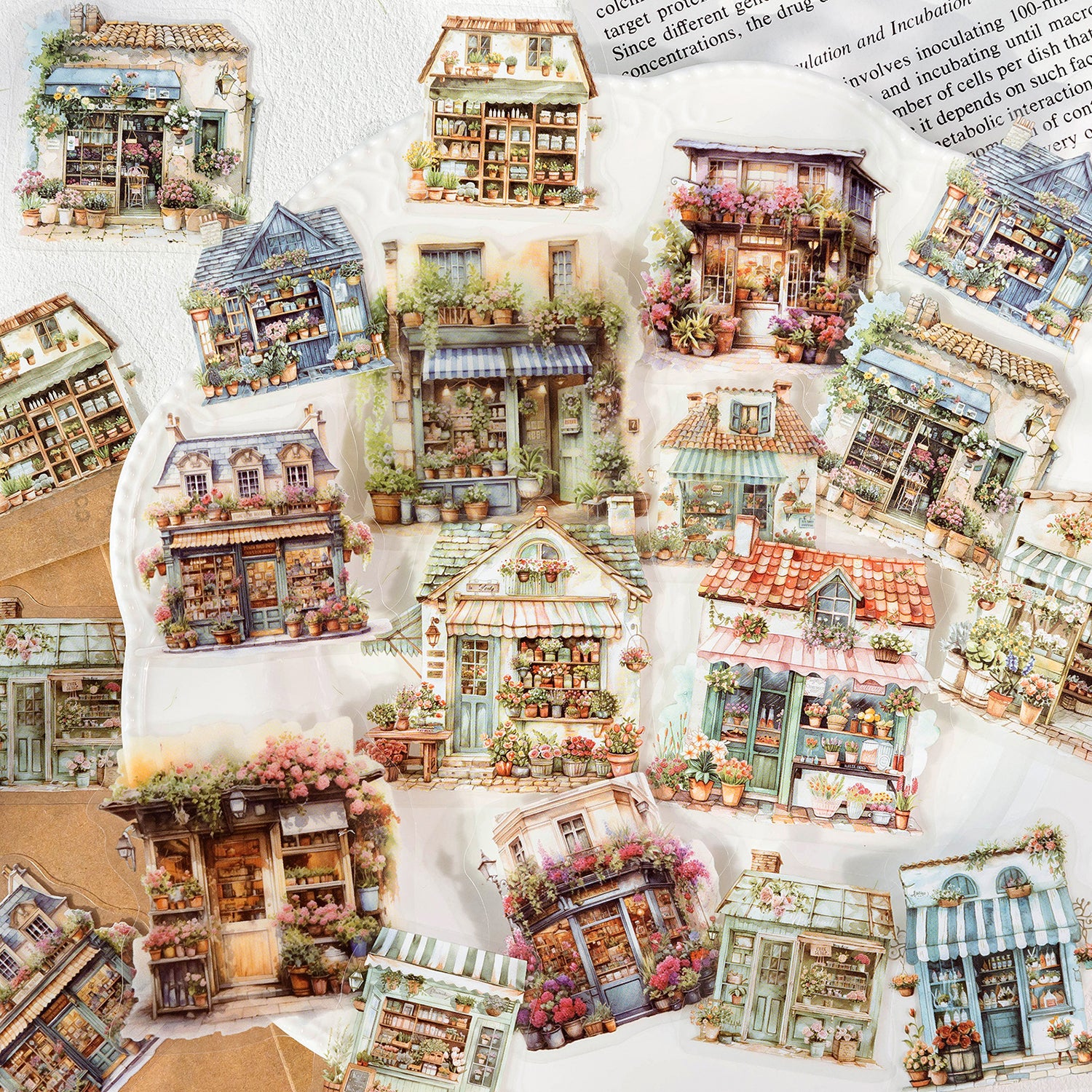 Forest Hut Nature Series PET Sticker