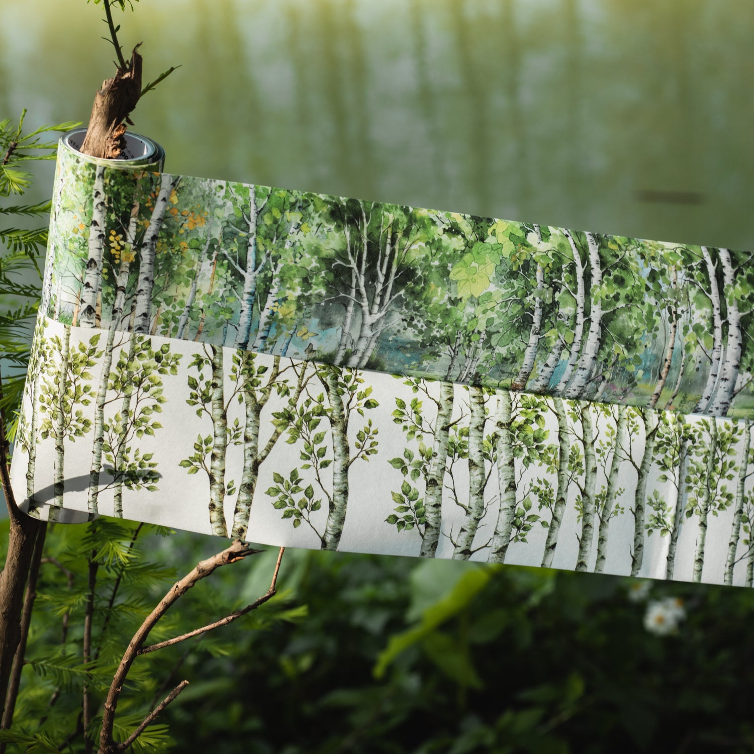 Secrets of the forest Washi Tape