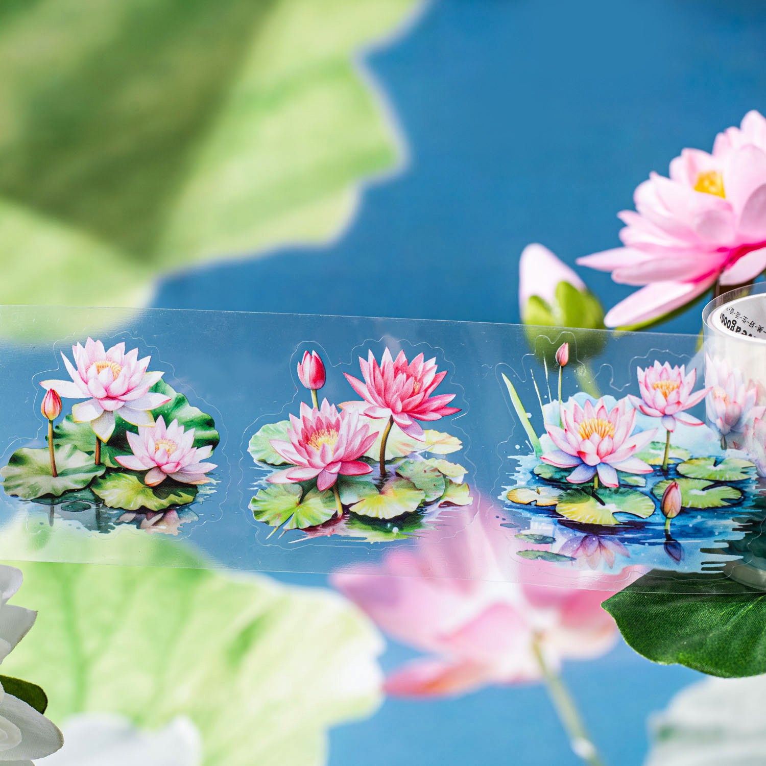 Summer Lotus Pond PET Tape